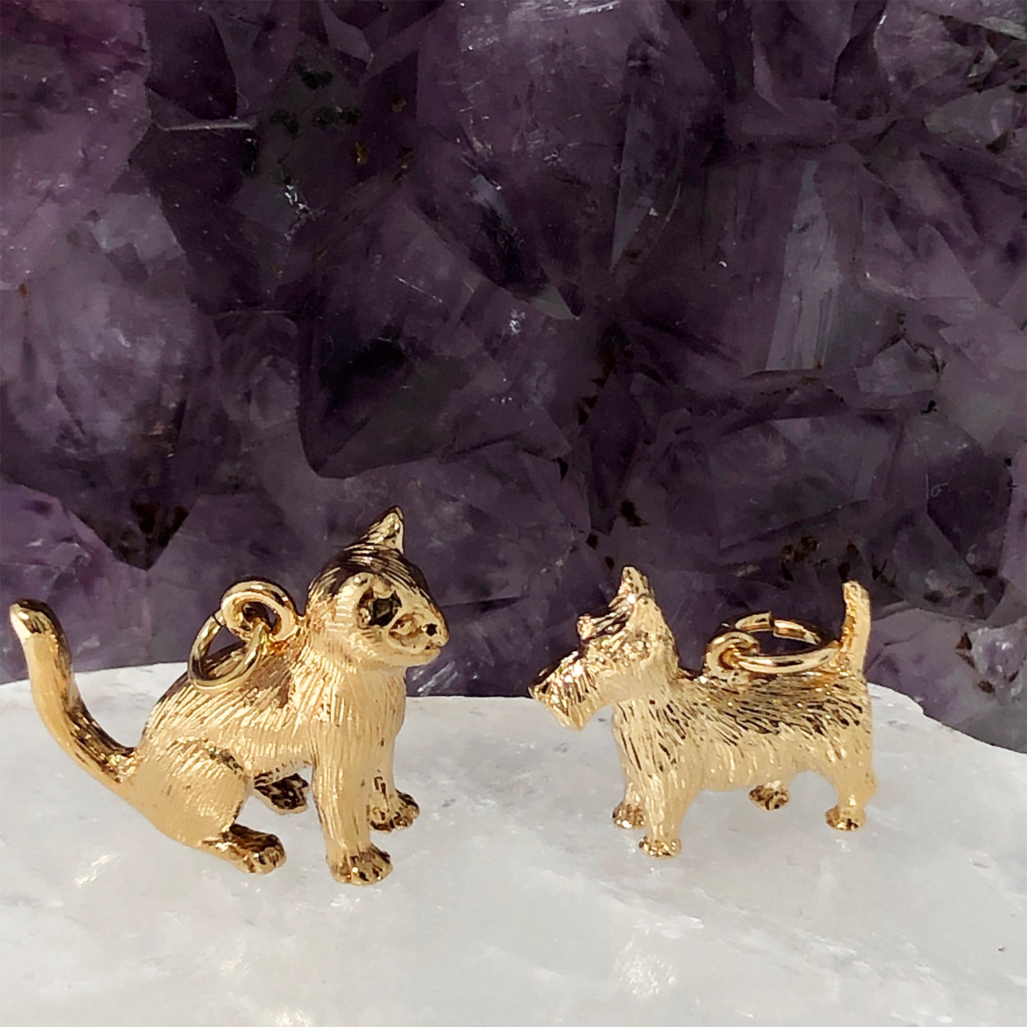 Cats vs Dogs: Which team are you?