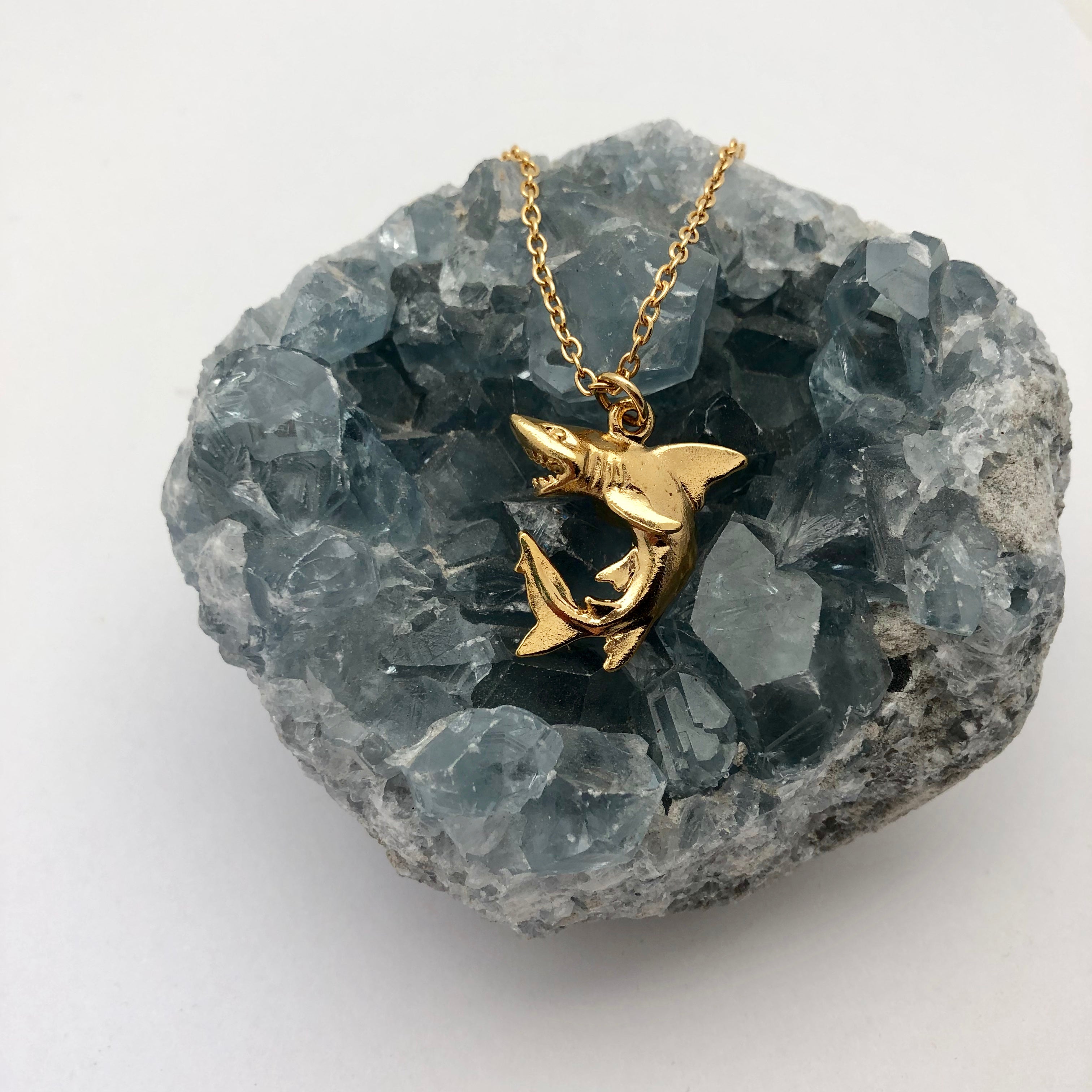 6 Tropical Charms & Their Meanings