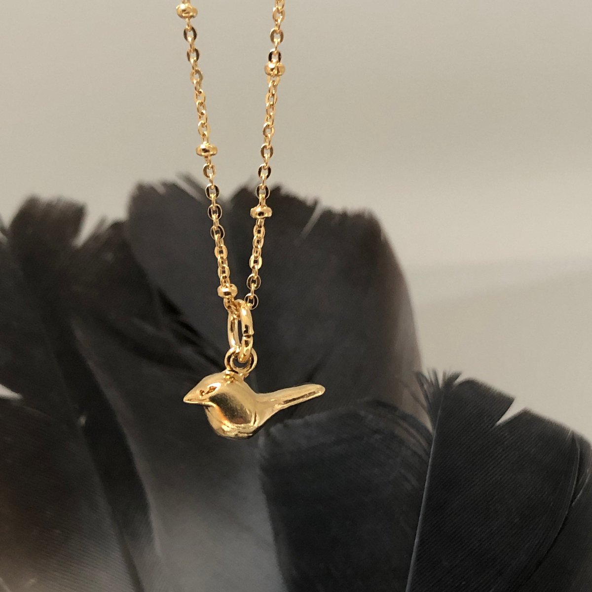 4 Birds & Their Symbolism