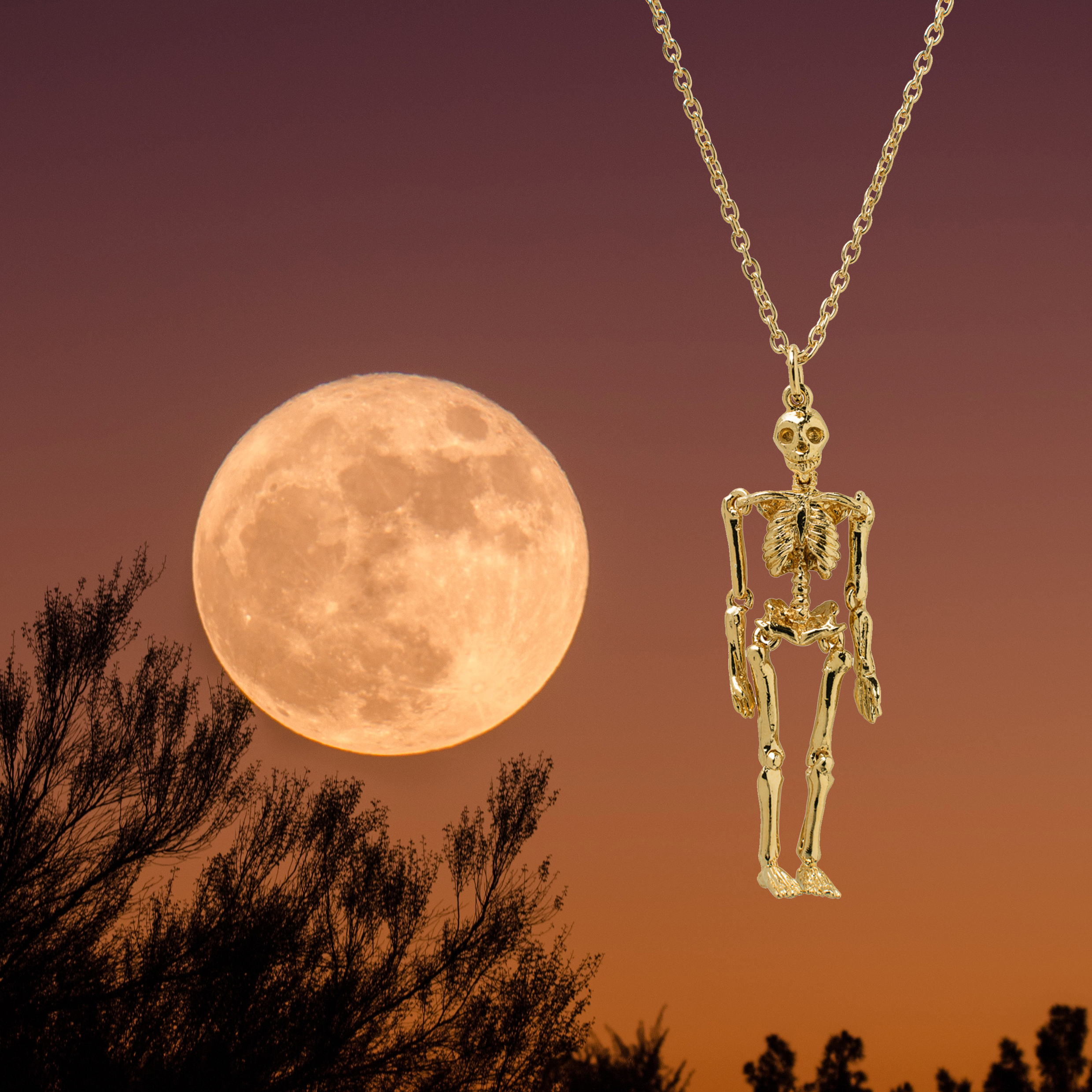 3 Symbols of Halloween & Their Meanings