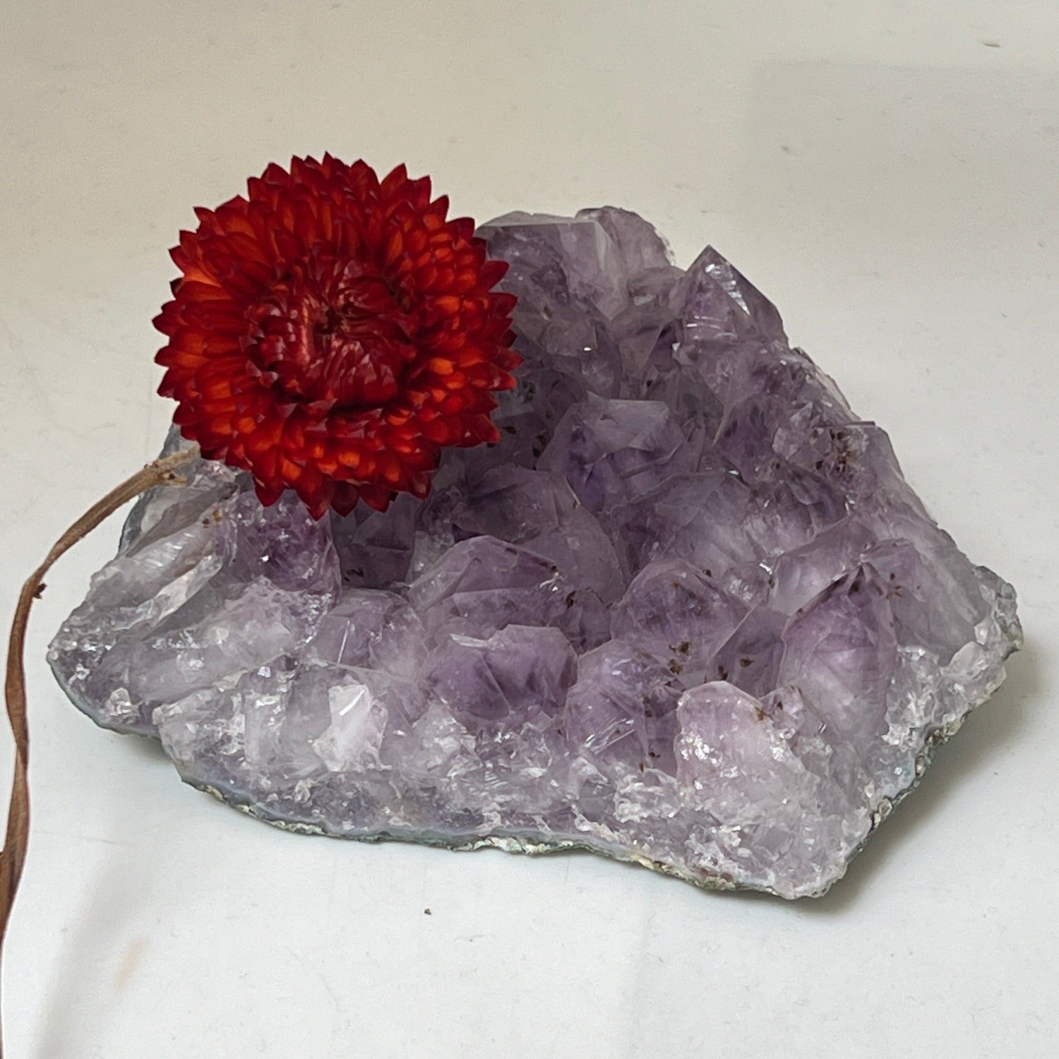 Raw amethyst crystal cluster with a single red dried flower stem, displayed as a decorative labradorite-inspired crystal arrangement