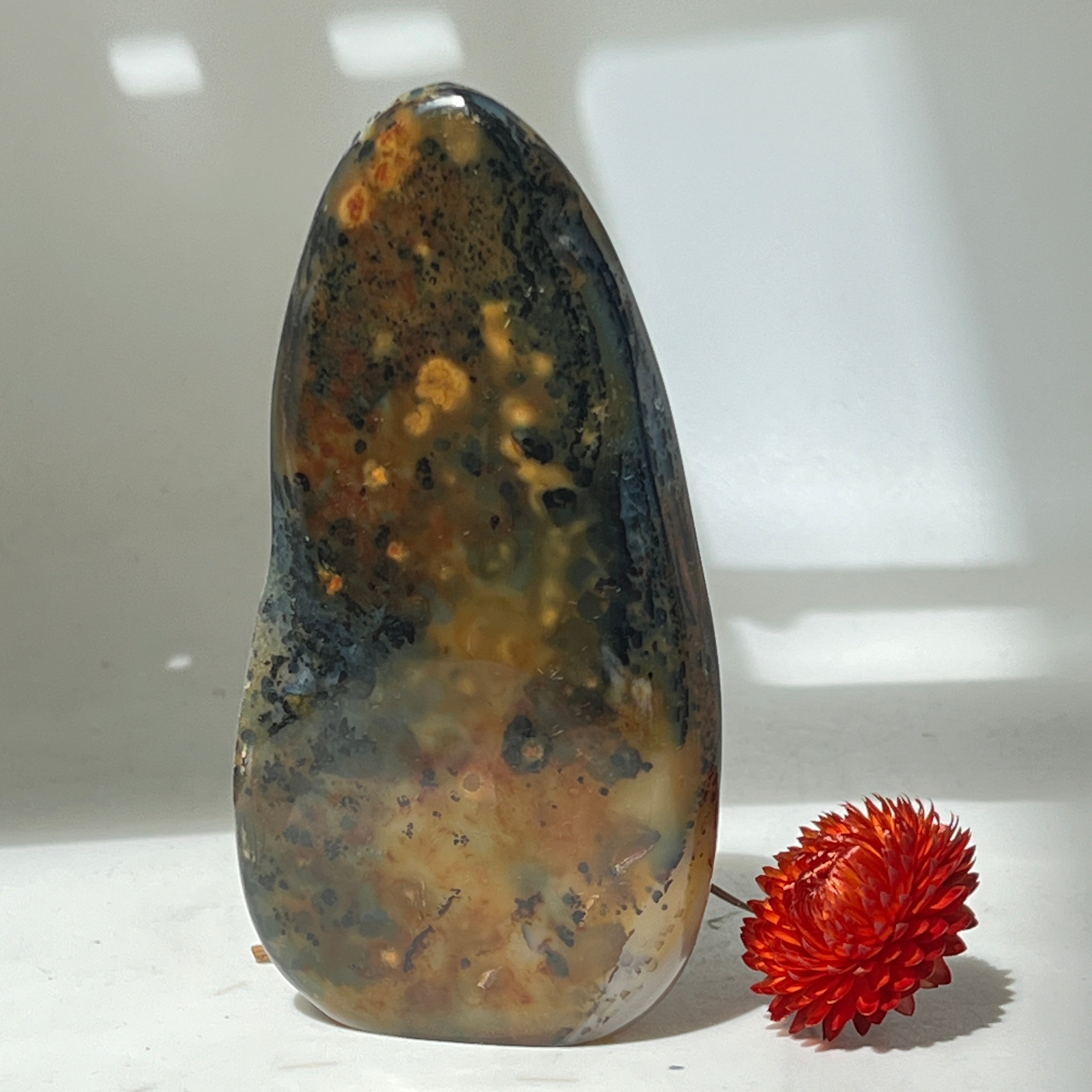 Unique Orbicular Jasper Freeform from Madagascar
