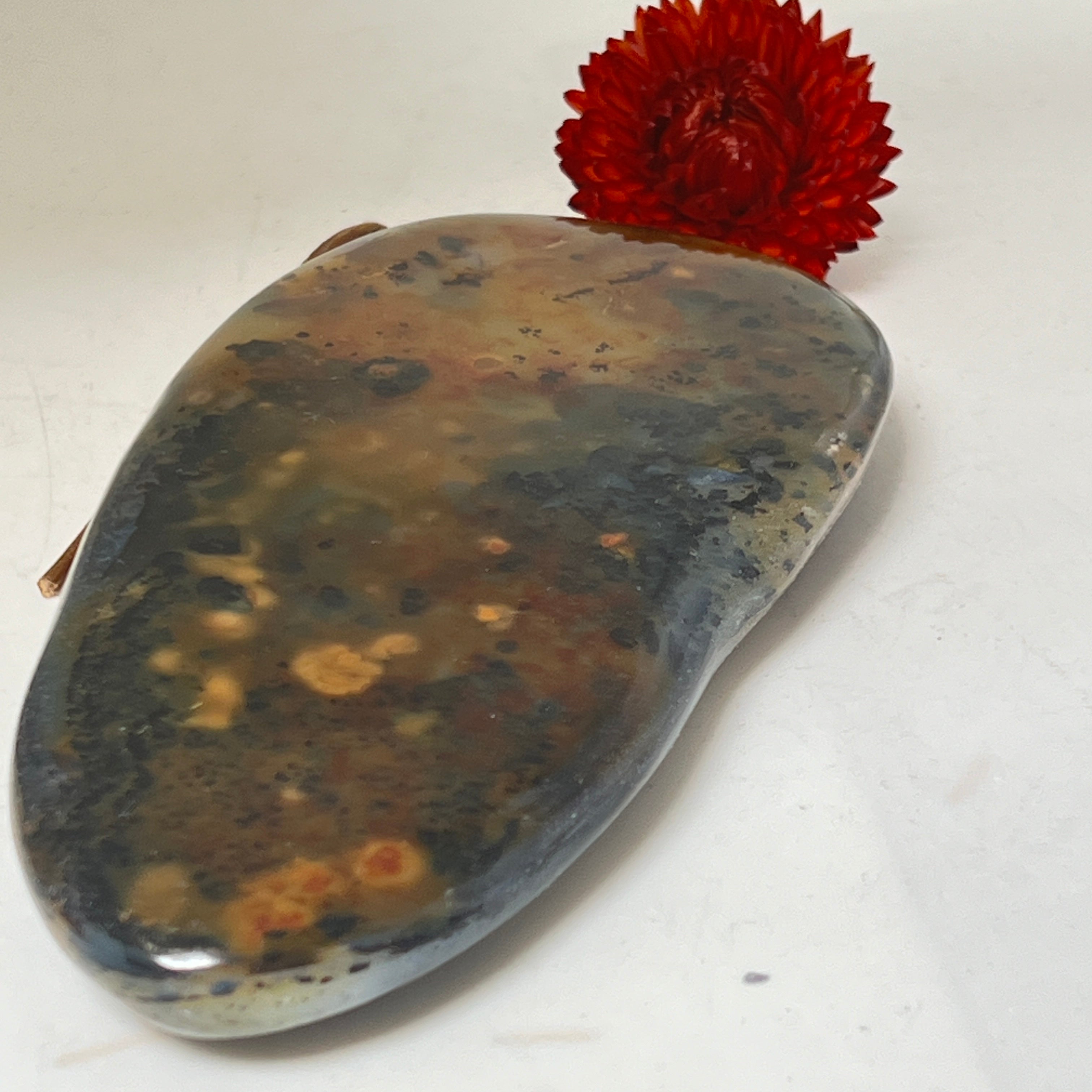 Unique Orbicular Jasper Freeform from Madagascar