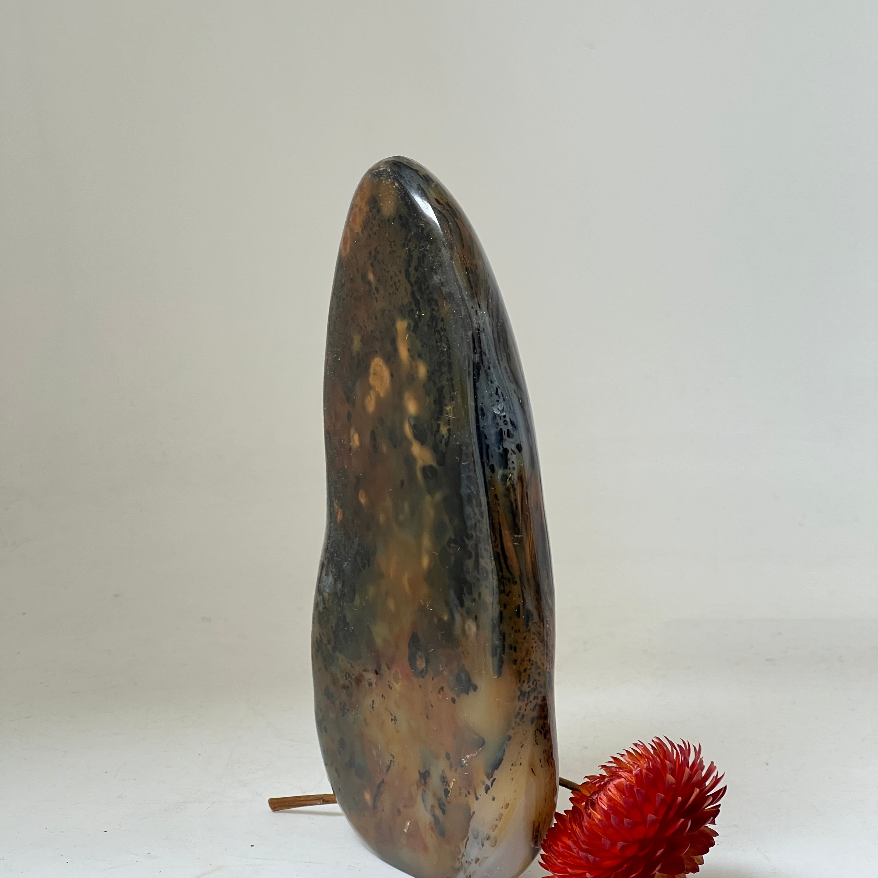 Unique Orbicular Jasper Freeform from Madagascar