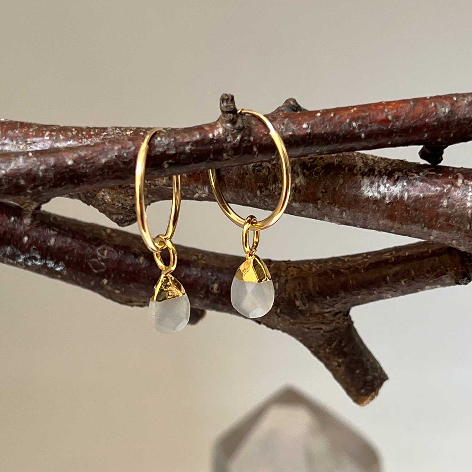 A pair of gold creole earrings with moonstones hanging from a twig