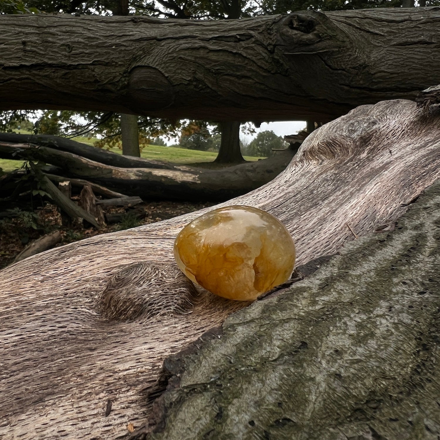 Honey Calcite Egg from Madagascar