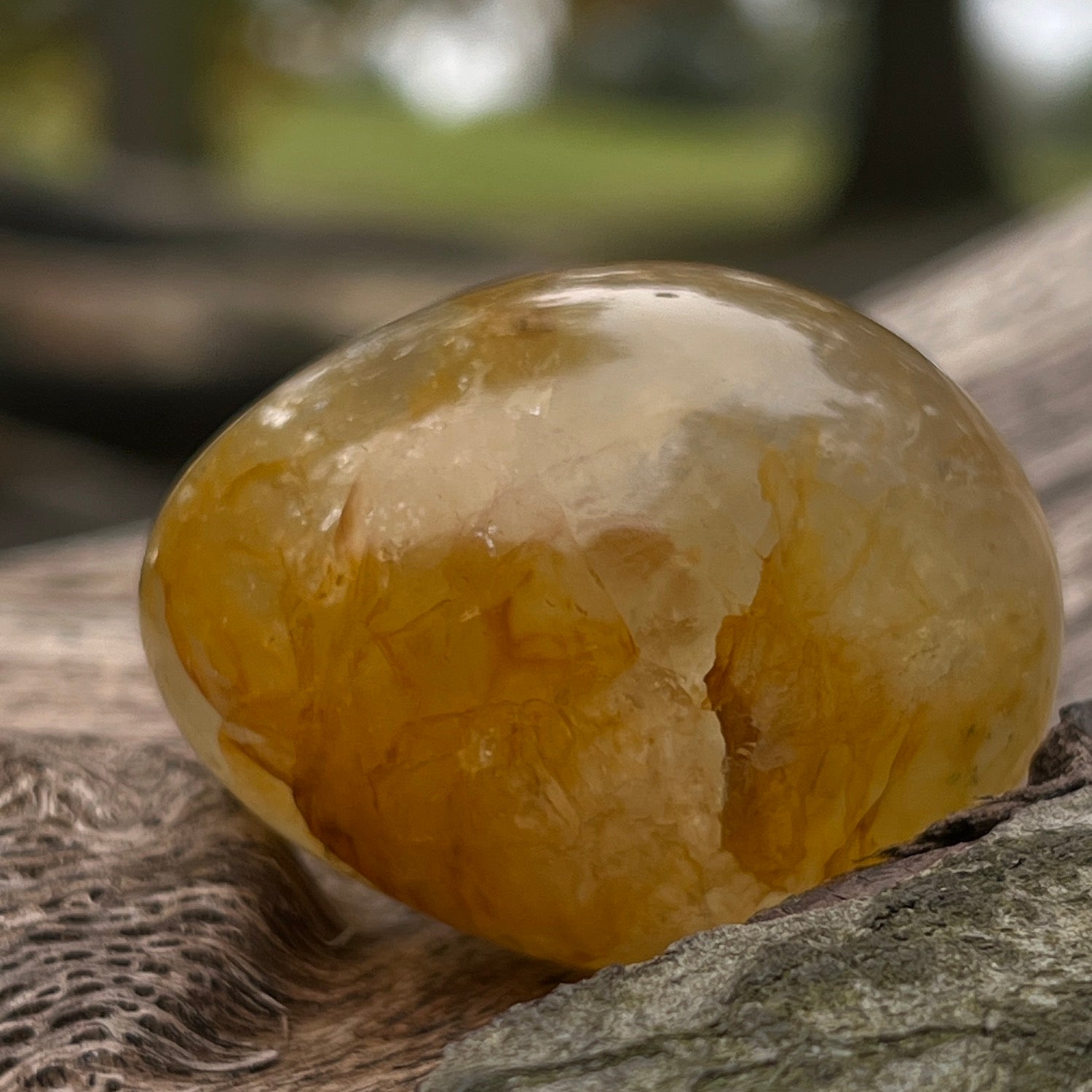 Honey Calcite Egg from Madagascar