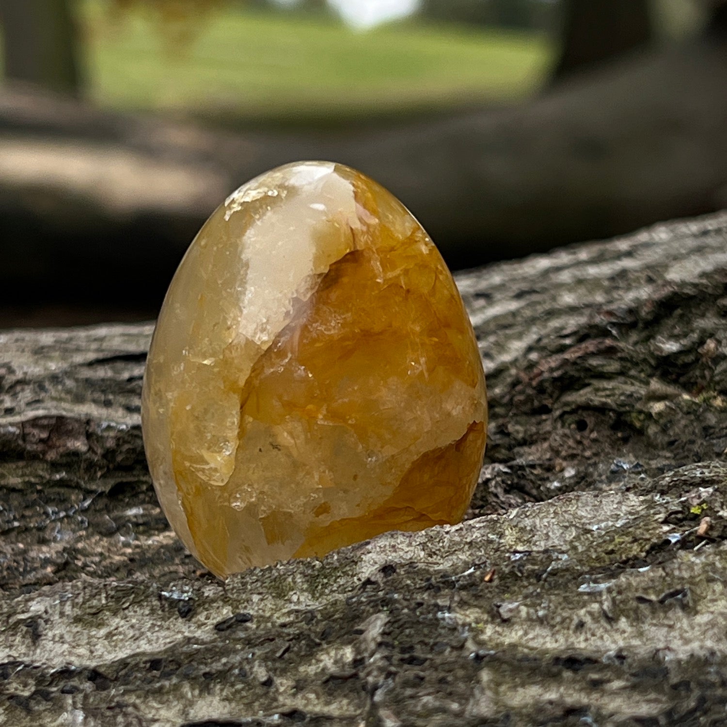 Honey Calcite Egg from Madagascar