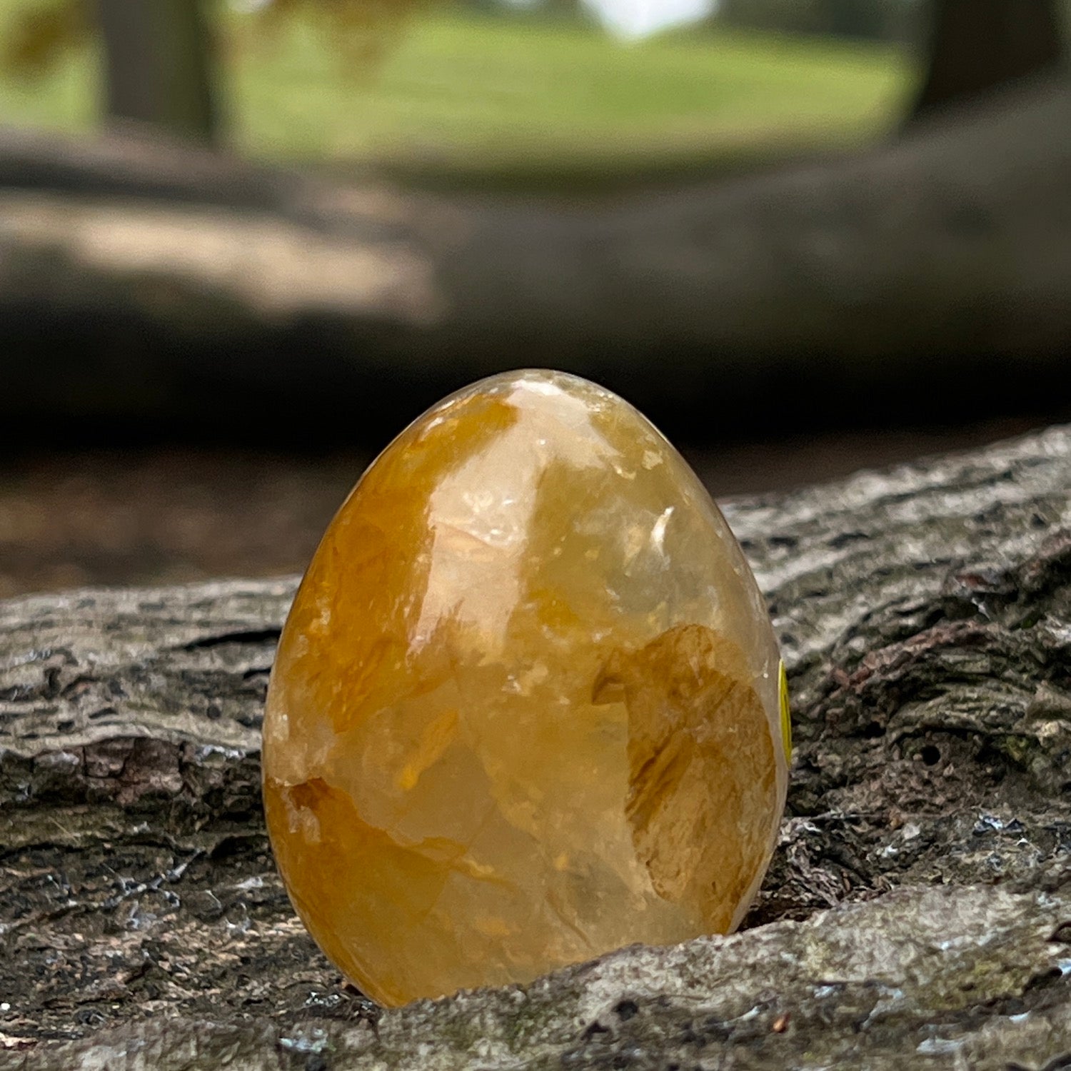 Honey Calcite Egg from Madagascar