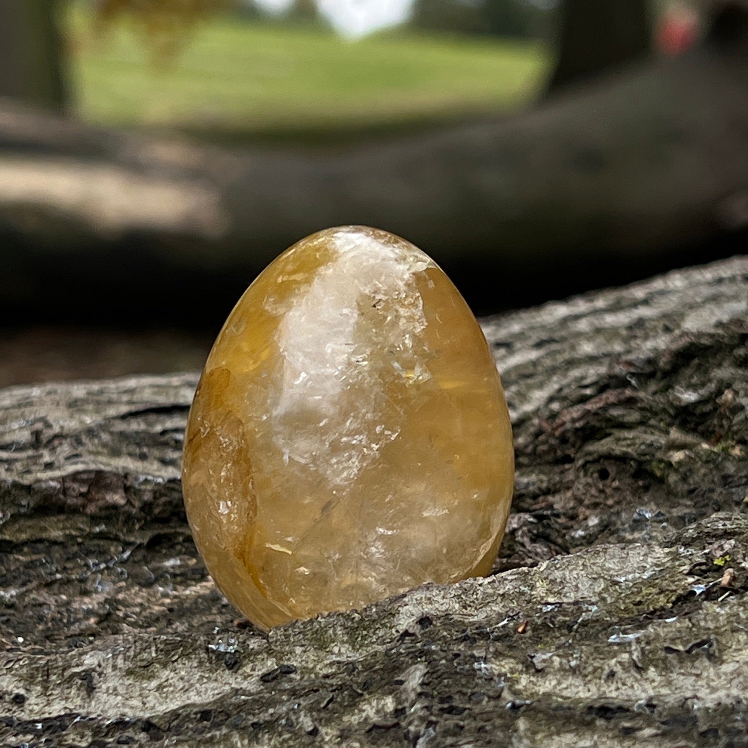 Honey Calcite Egg from Madagascar