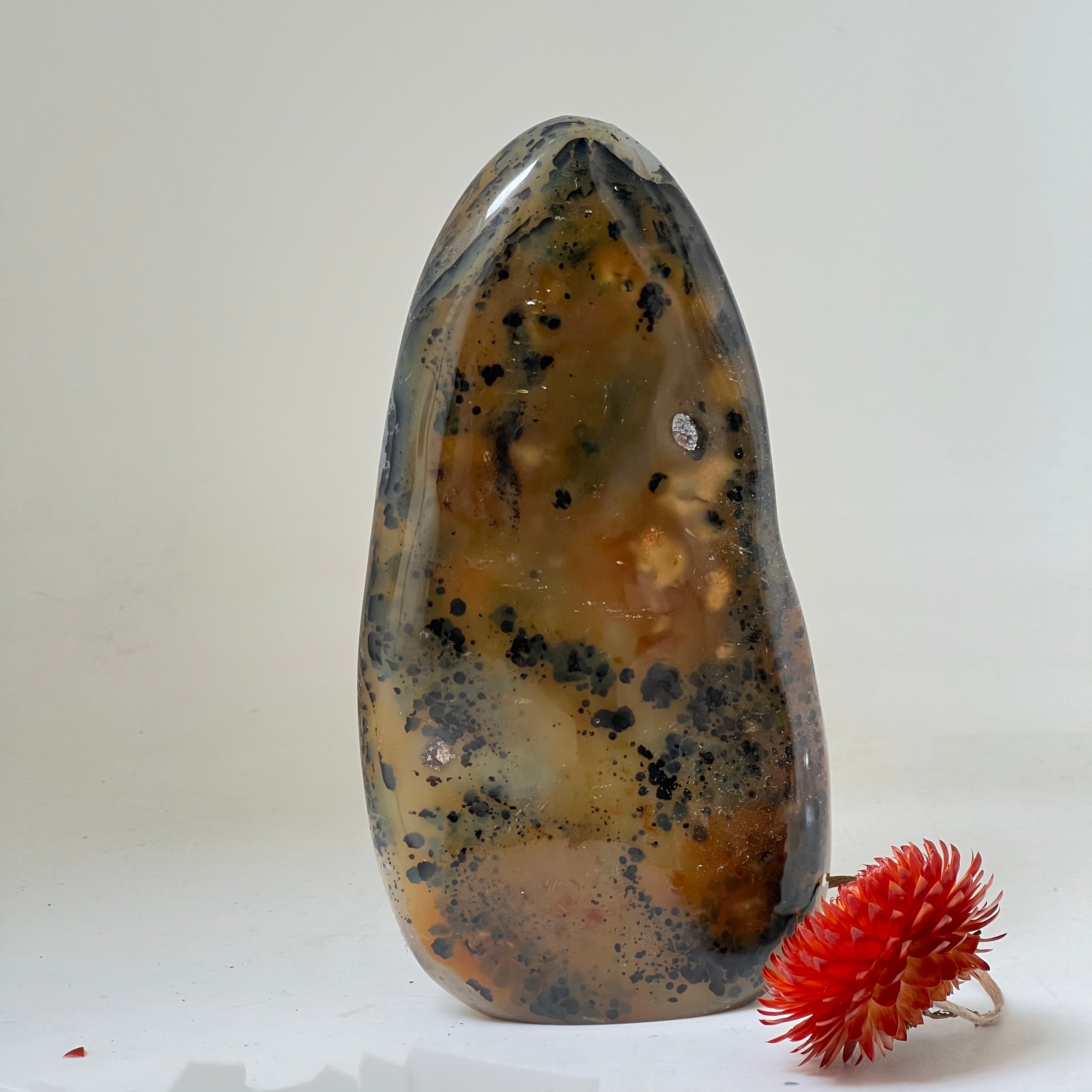 Unique Orbicular Jasper Freeform from Madagascar