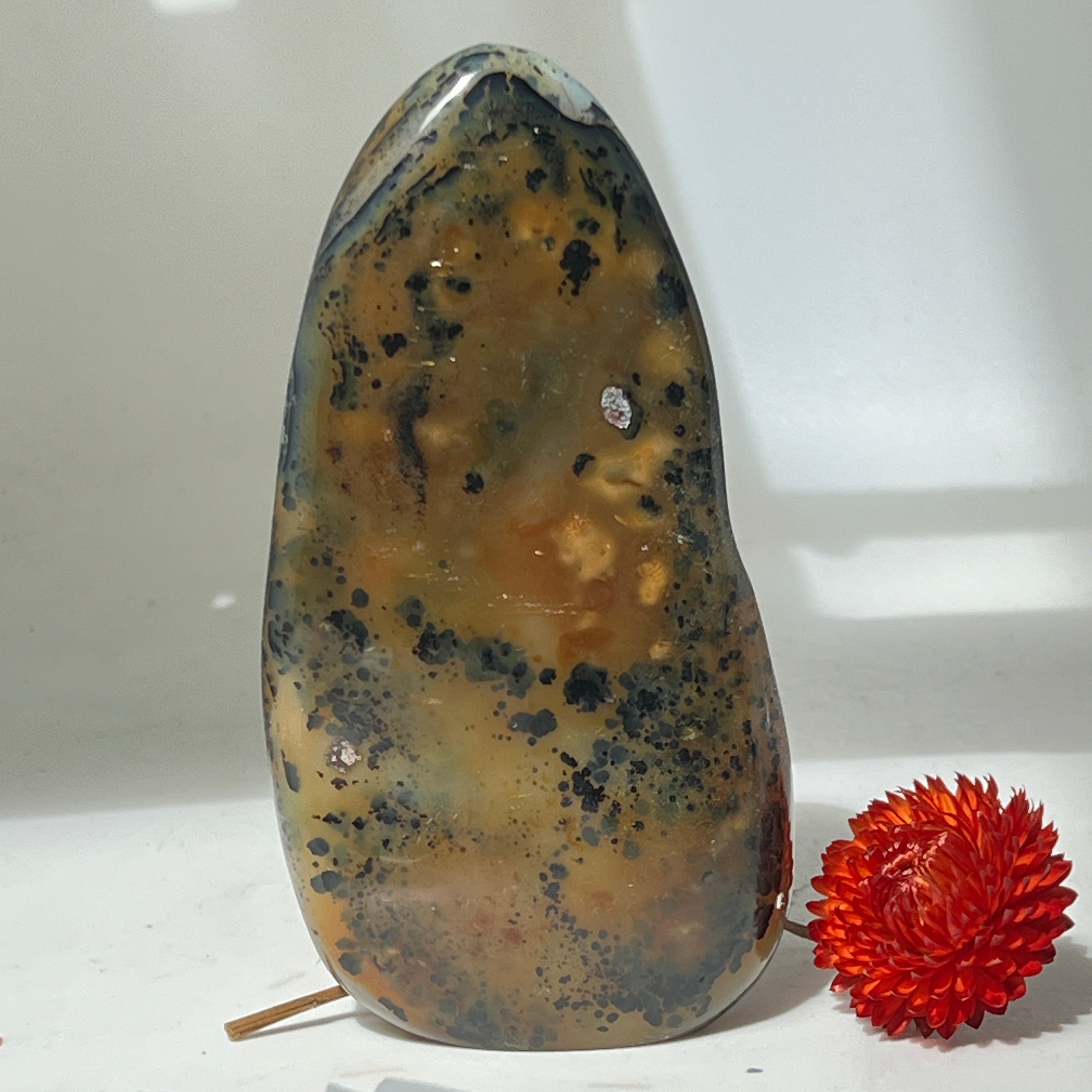 Unique Orbicular Jasper Freeform from Madagascar