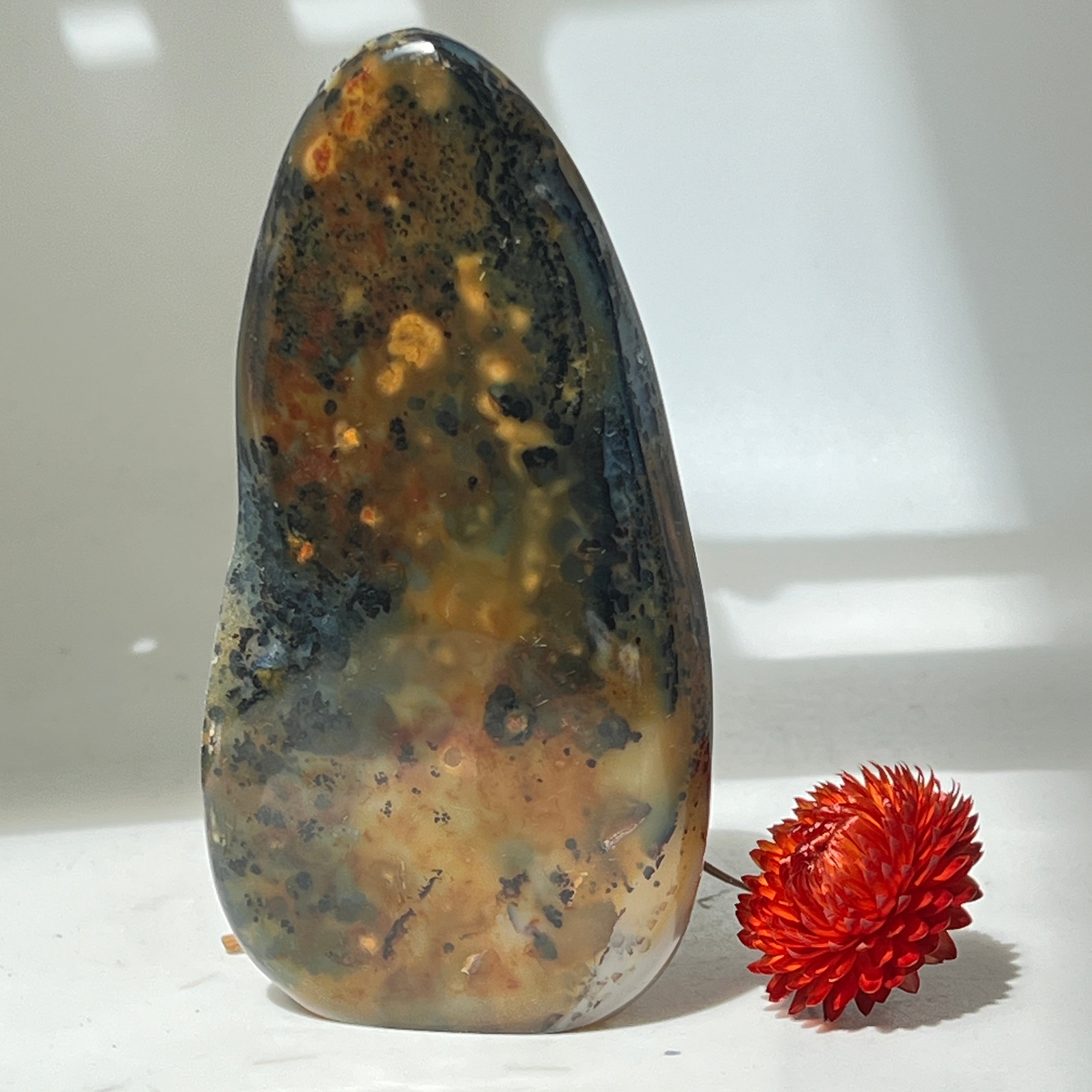 Unique Orbicular Jasper Freeform from Madagascar