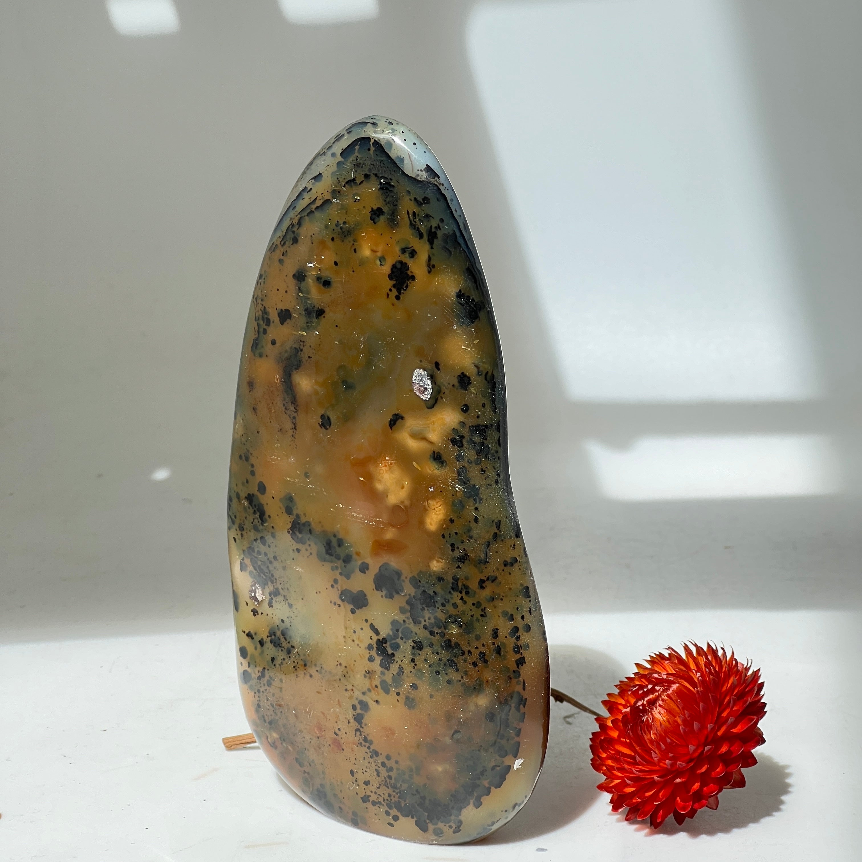 Unique Orbicular Jasper Freeform from Madagascar