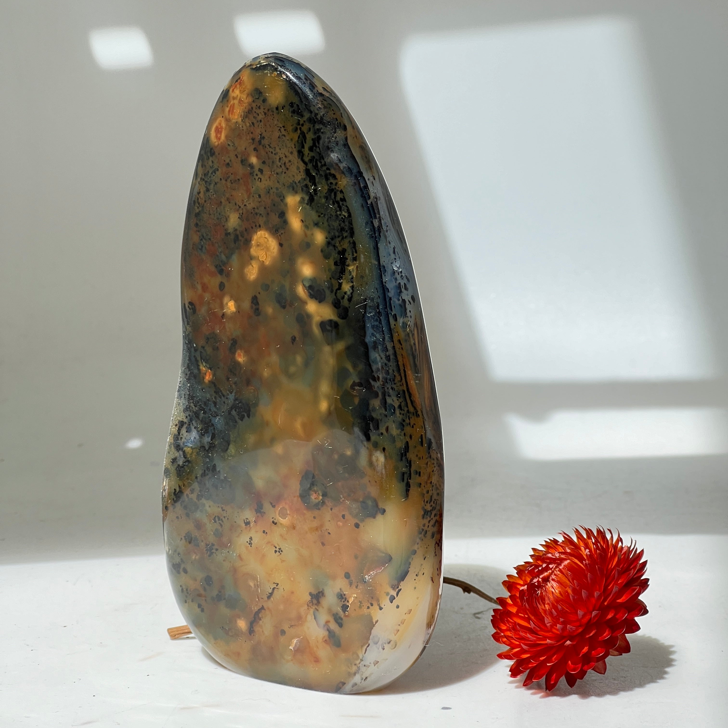 Unique Orbicular Jasper Freeform from Madagascar
