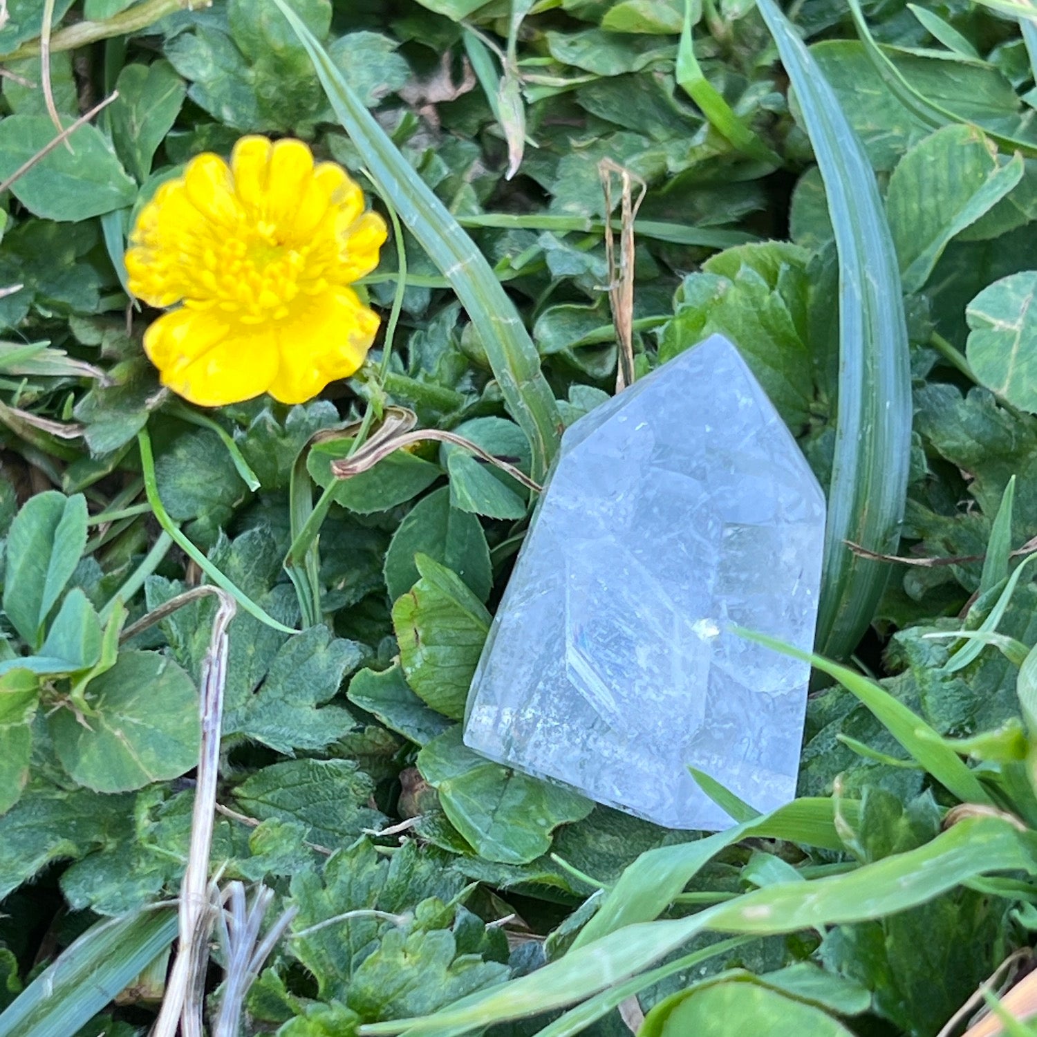short chlorite manifestor point from Madagascar