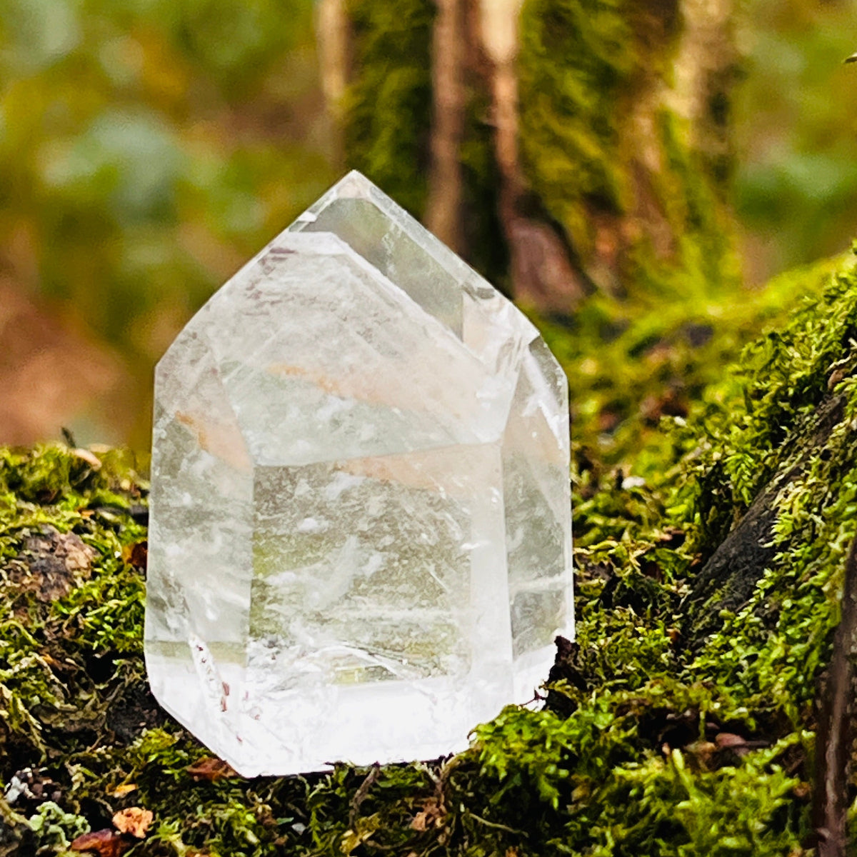 Phantom quartz clear crystal on a mossy surface with a blurred natural background