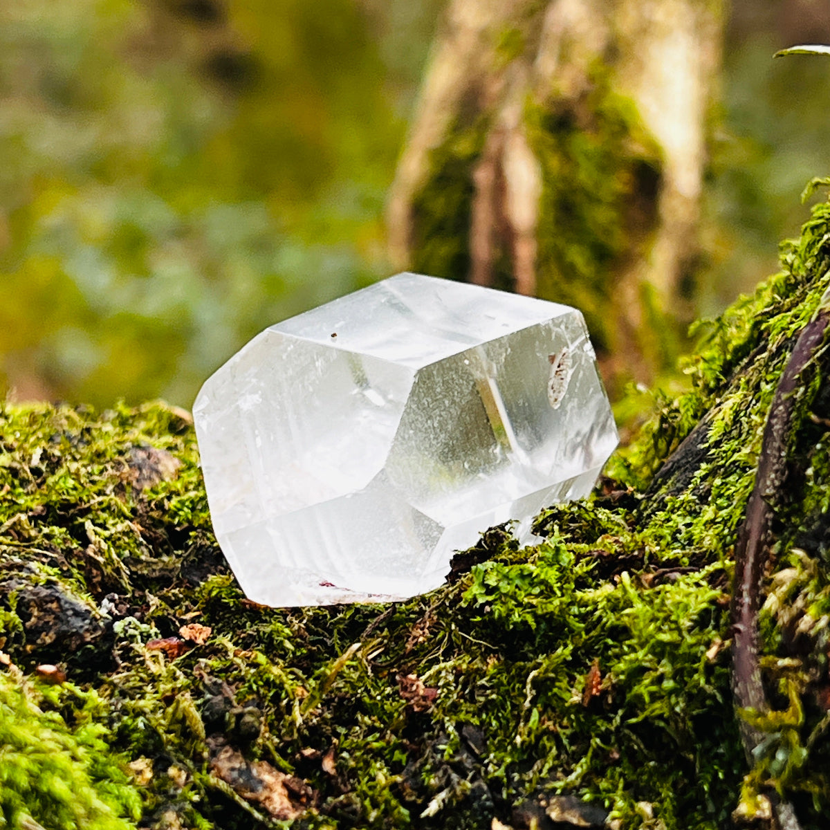 Phantom quartz crystal on a mossy surface with a blurred natural background
