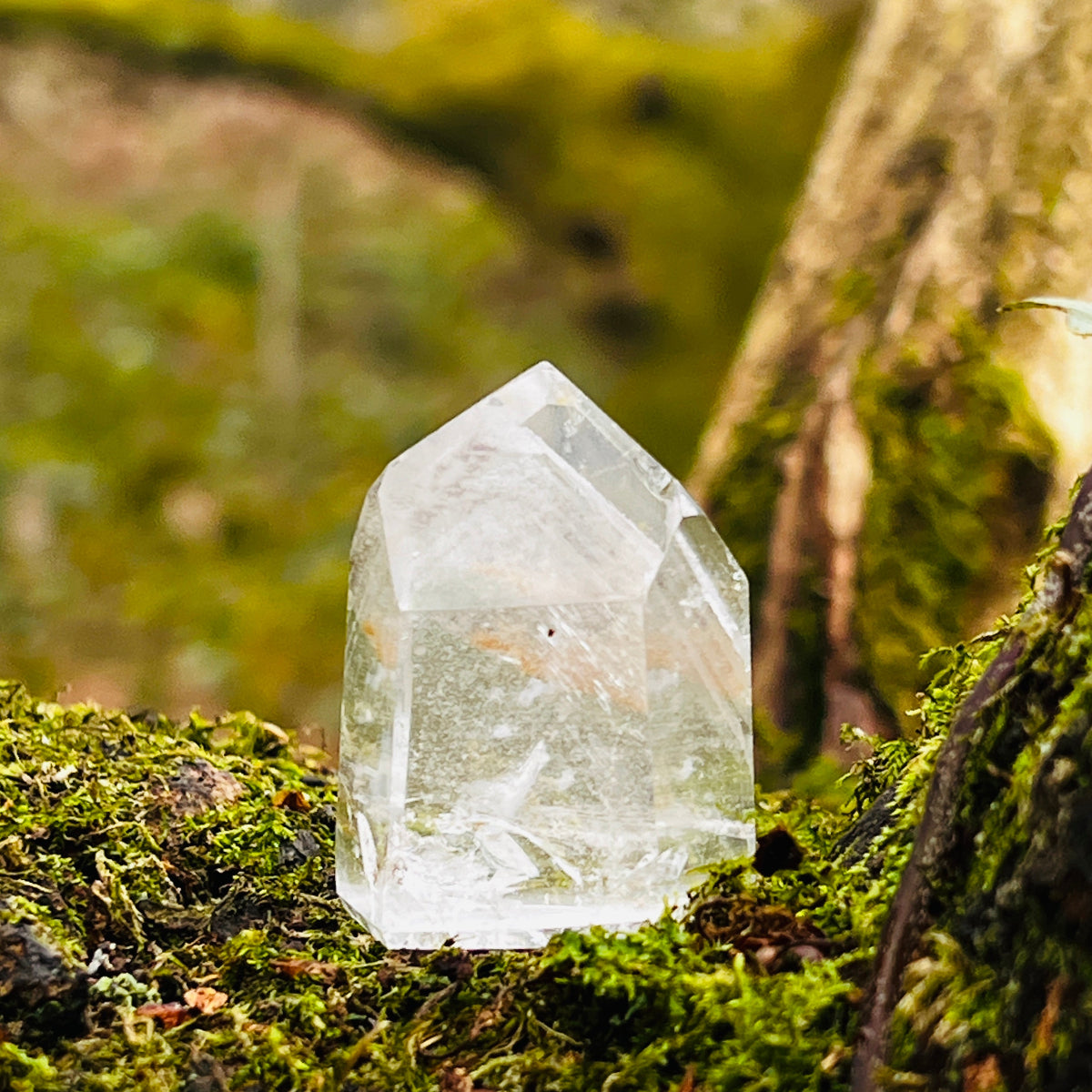 Clear crystal on a mossy surface with a blurred natural background