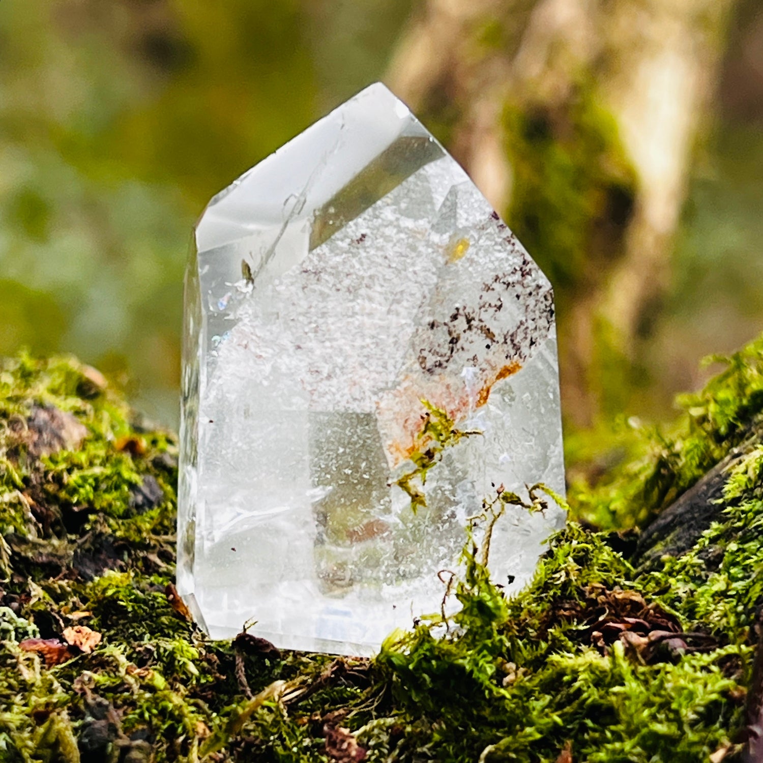 Clear crystal on a bed of green moss with a blurred natural background