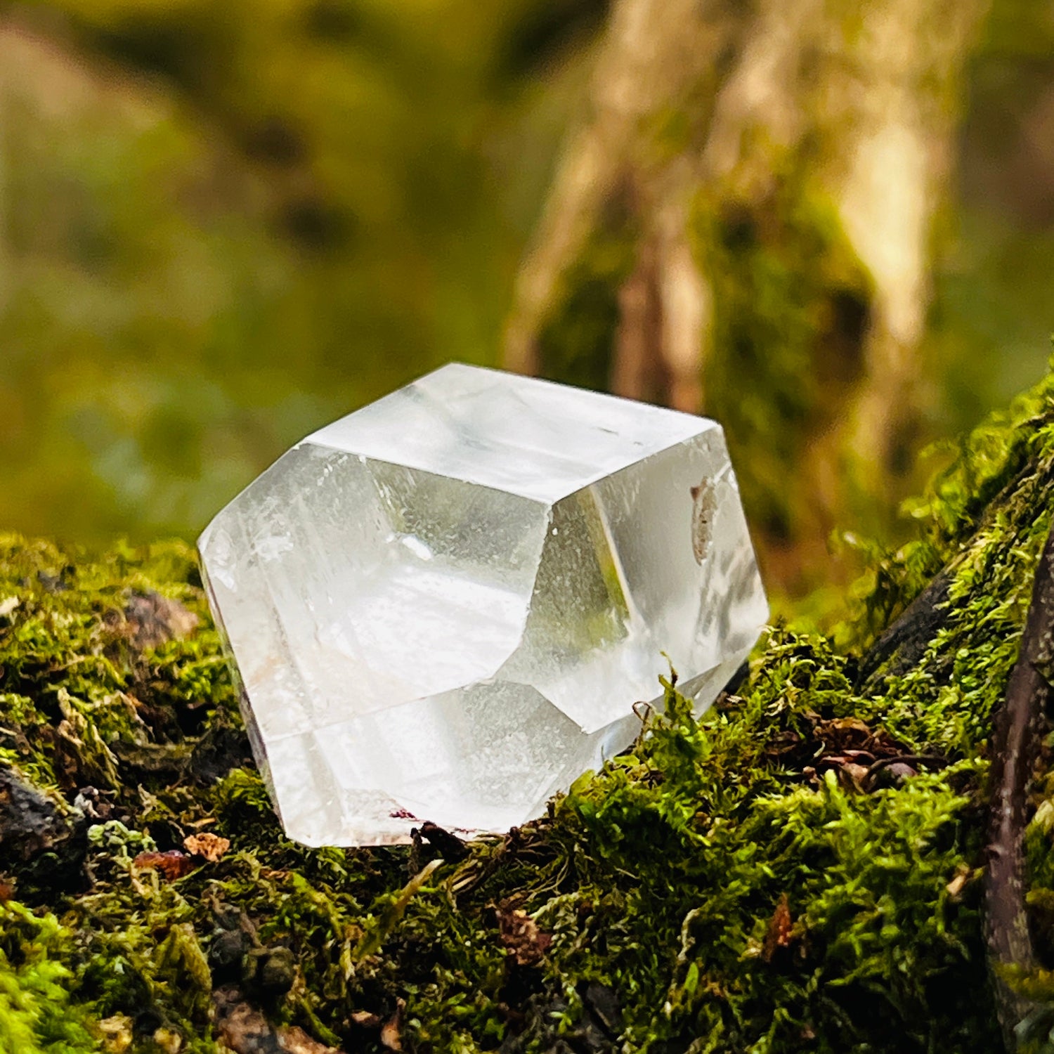 Clear crystal on a bed of green moss with a blurred natural background