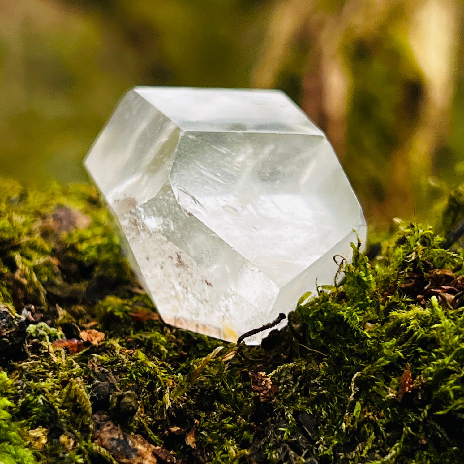 Faceted crystal on a bed of green moss