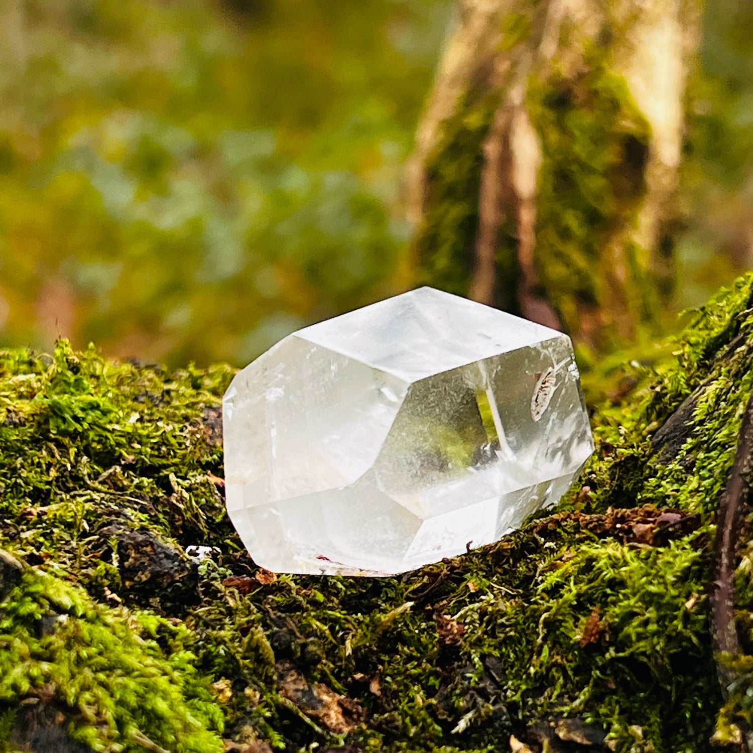 Phantom quartz crystal on a mossy surface with a blurred natural background