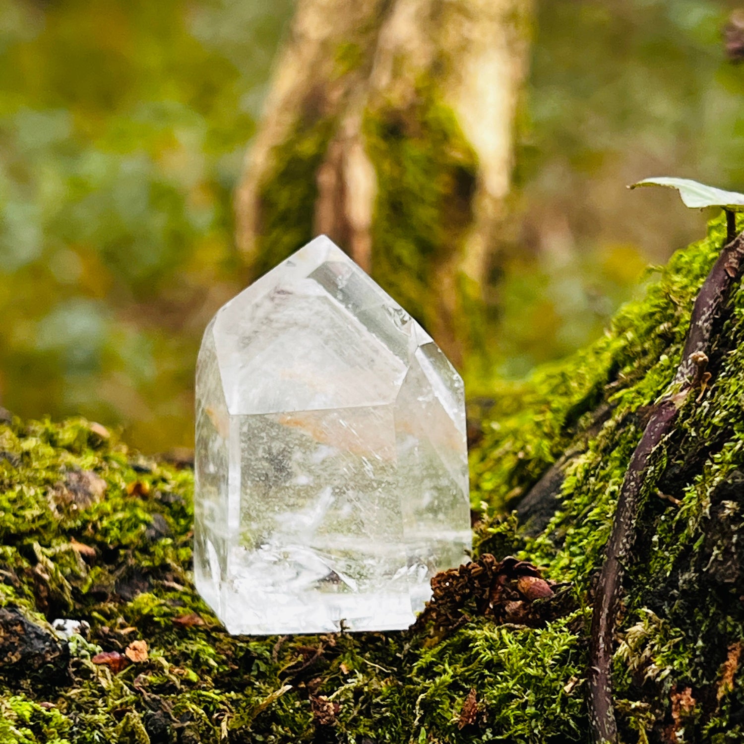 Phantom quartz crystal on a mossy surface with a blurred natural background