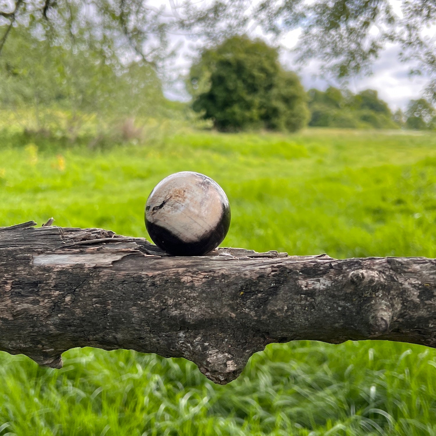 Unique Petrified wood Sphere from Java