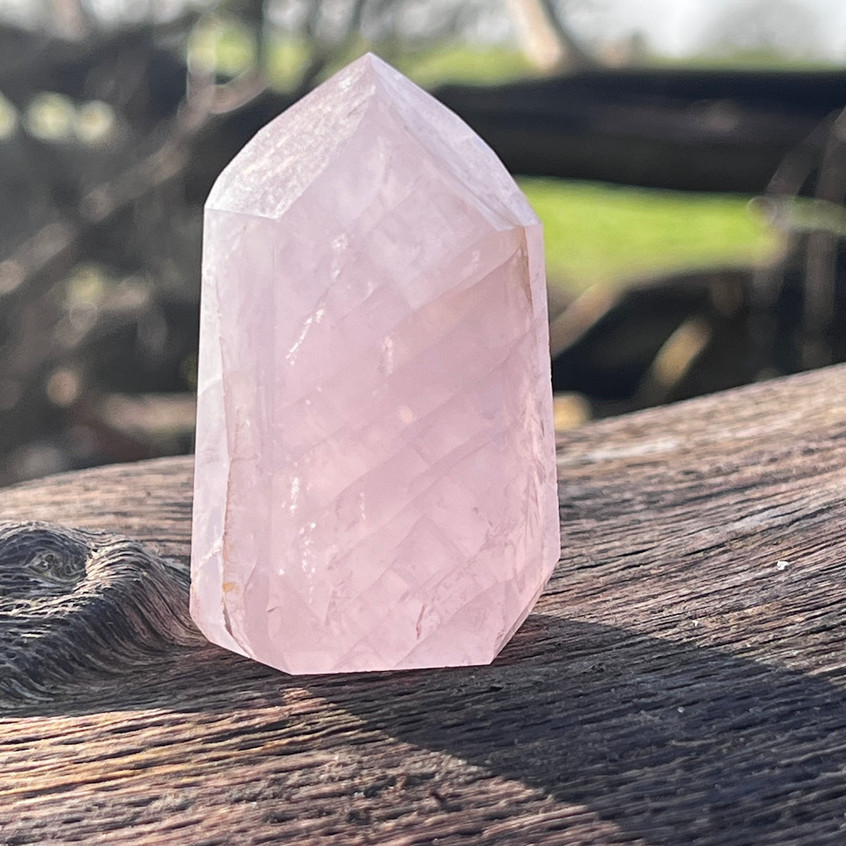 Rose quartz crystal point on a wooden bench outside.
