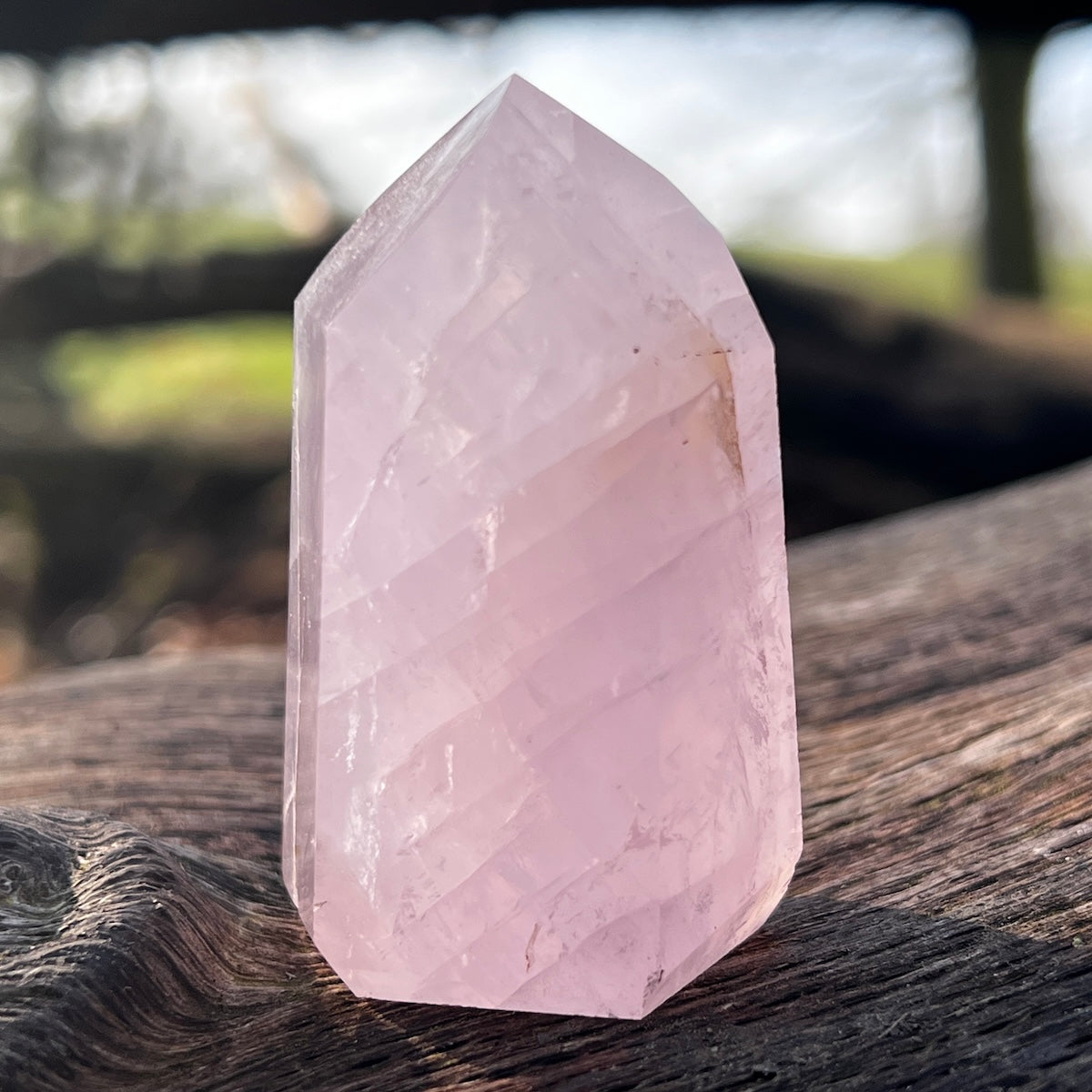 Rose quartz Point from Madagascar