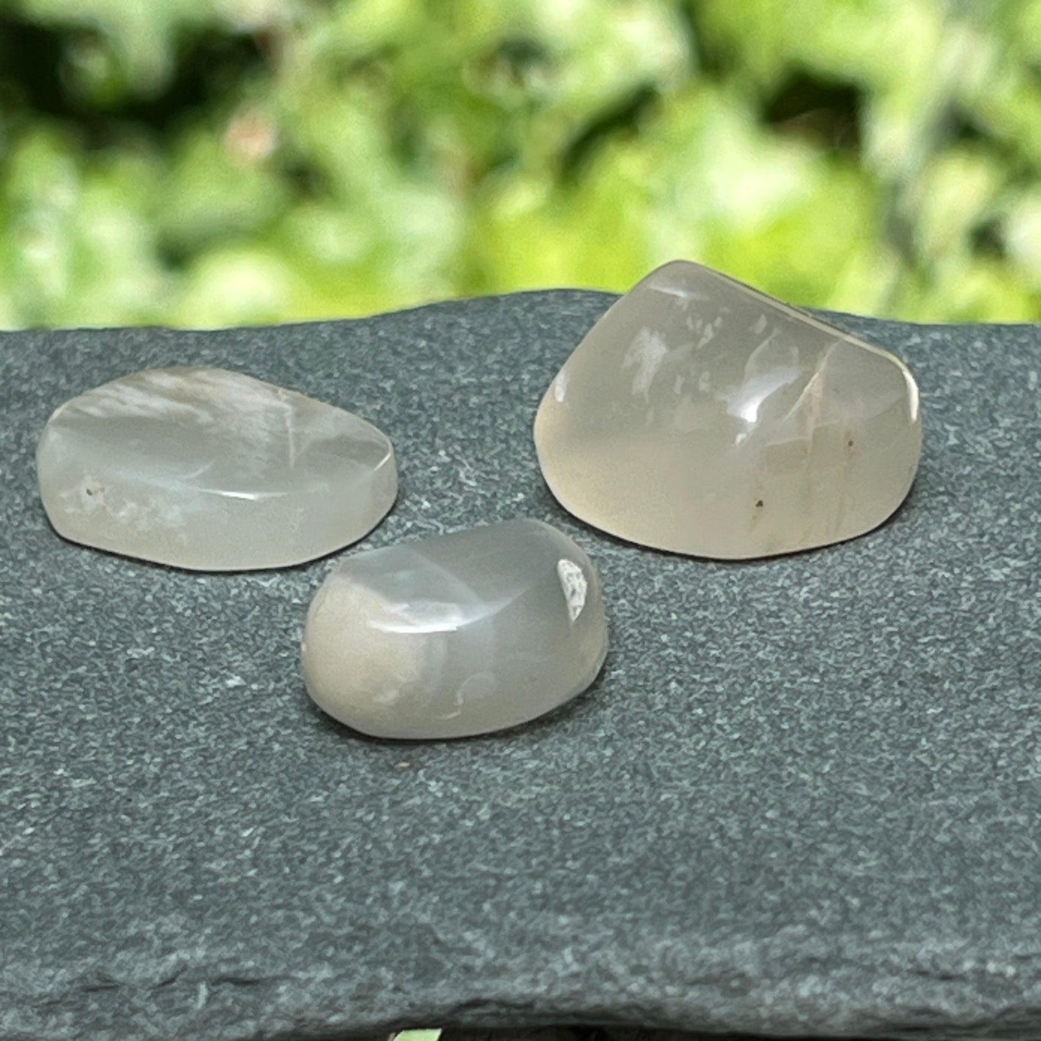 The Dream set  of Moonstone pebbles set of 3