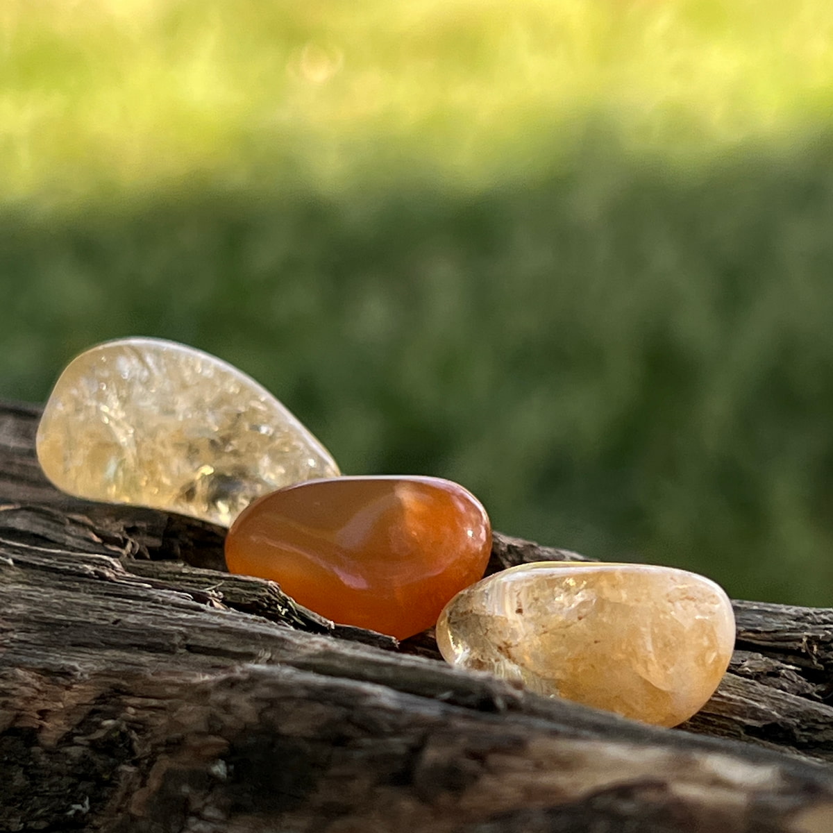 Three colorful stones on a wooden surface with a blurred natural background