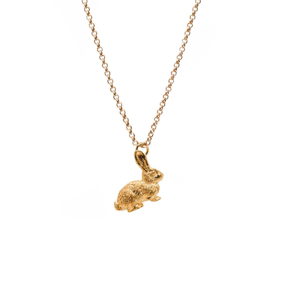 Rabbit Charm