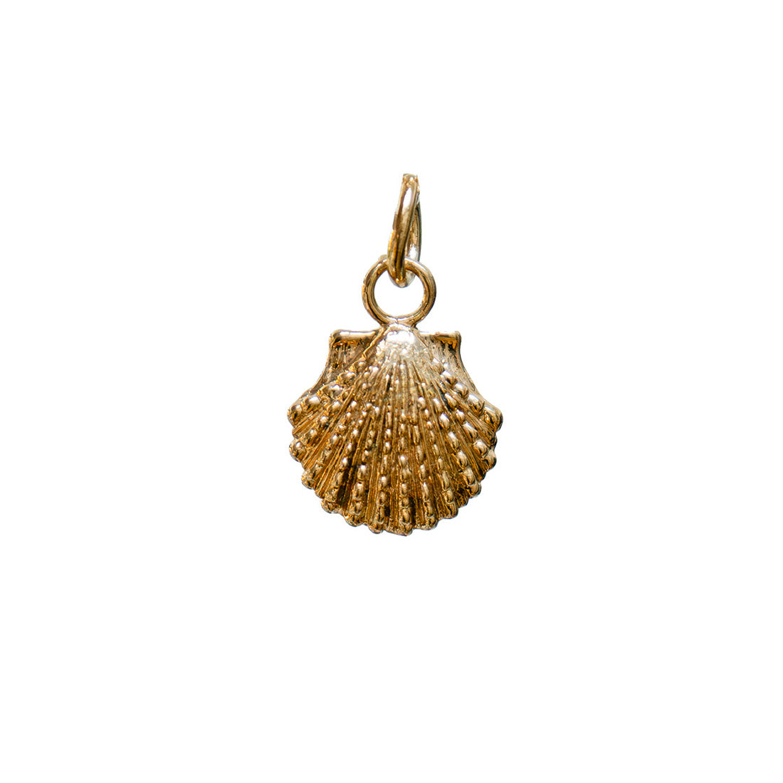 Compostella Pendant on satellite or Rosary chain