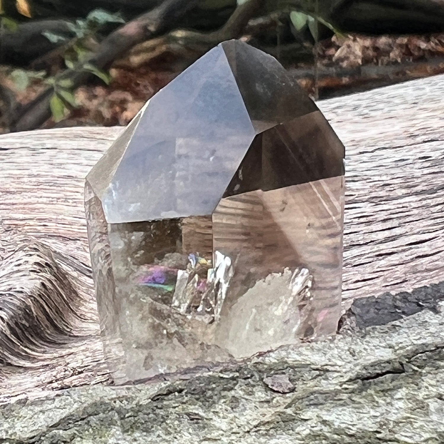 Citrine phantom quartz crystal on a wooden surface with natural background