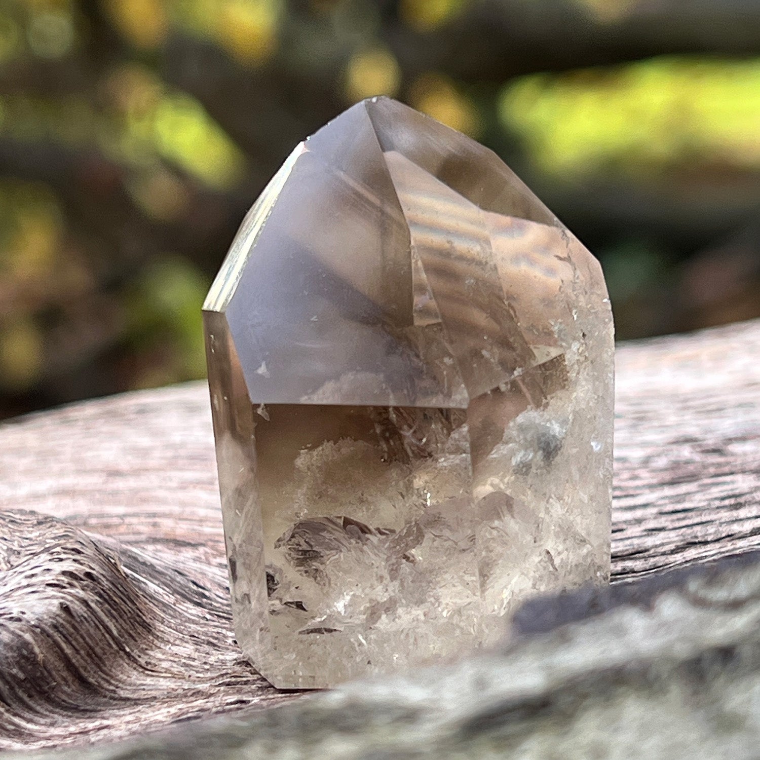 Citrine phantom quartz crystal on a wooden surface with a blurred natural background