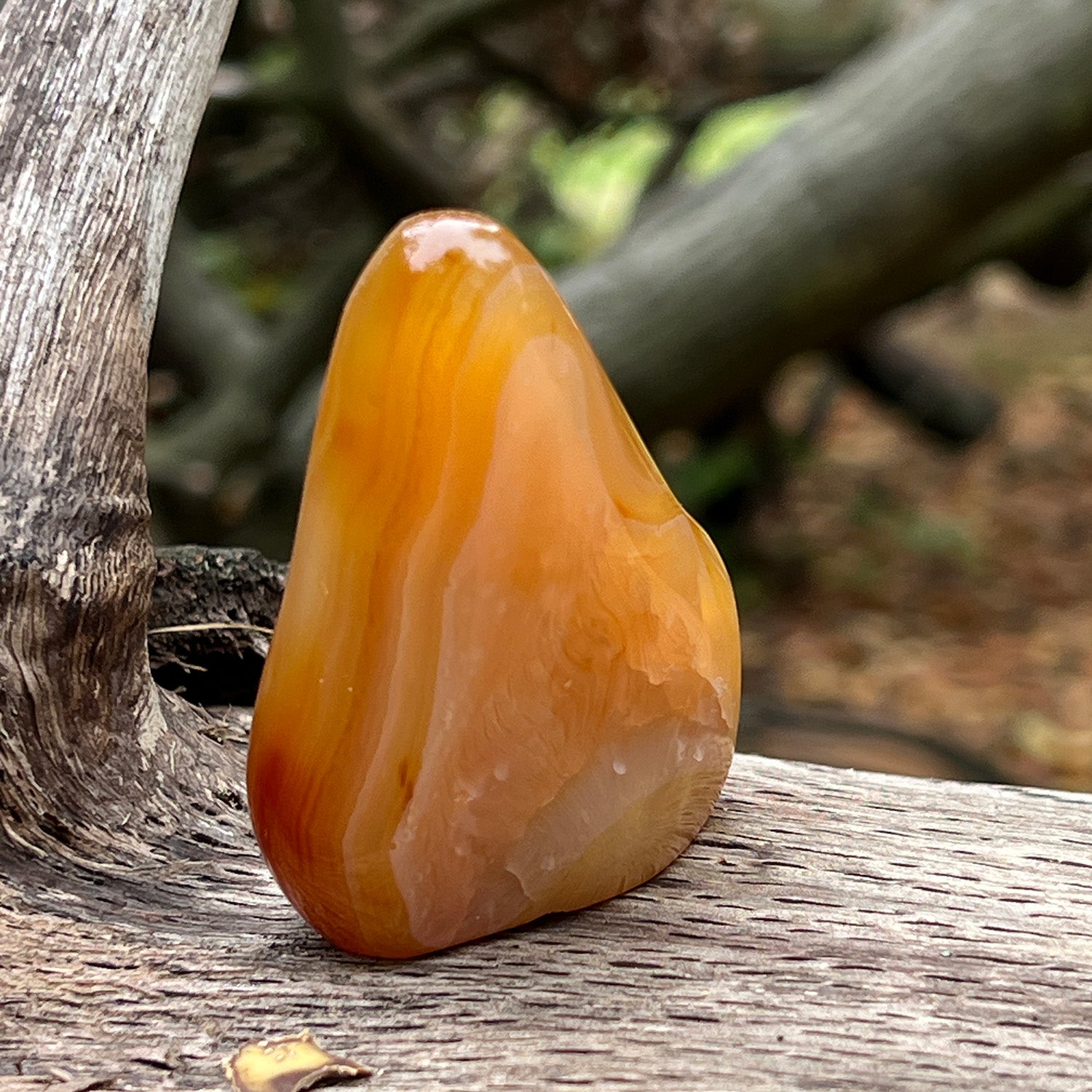 Unique Freeform Carnelian From Madagascar
