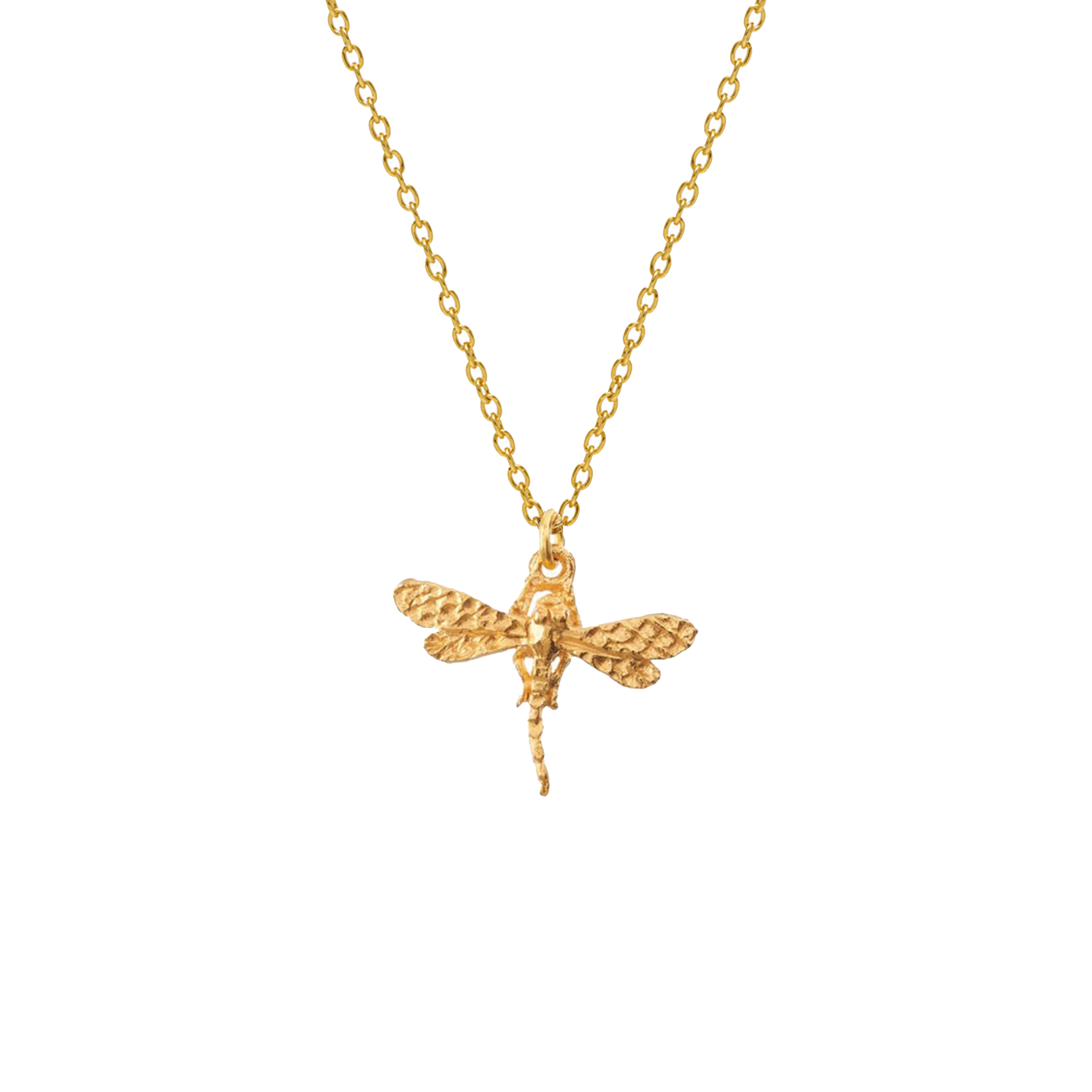 Dragonfly Charm