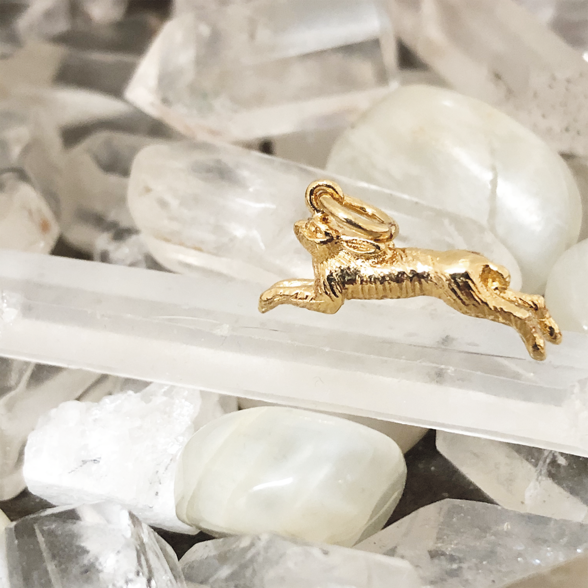 Leaping Hare Small Charm