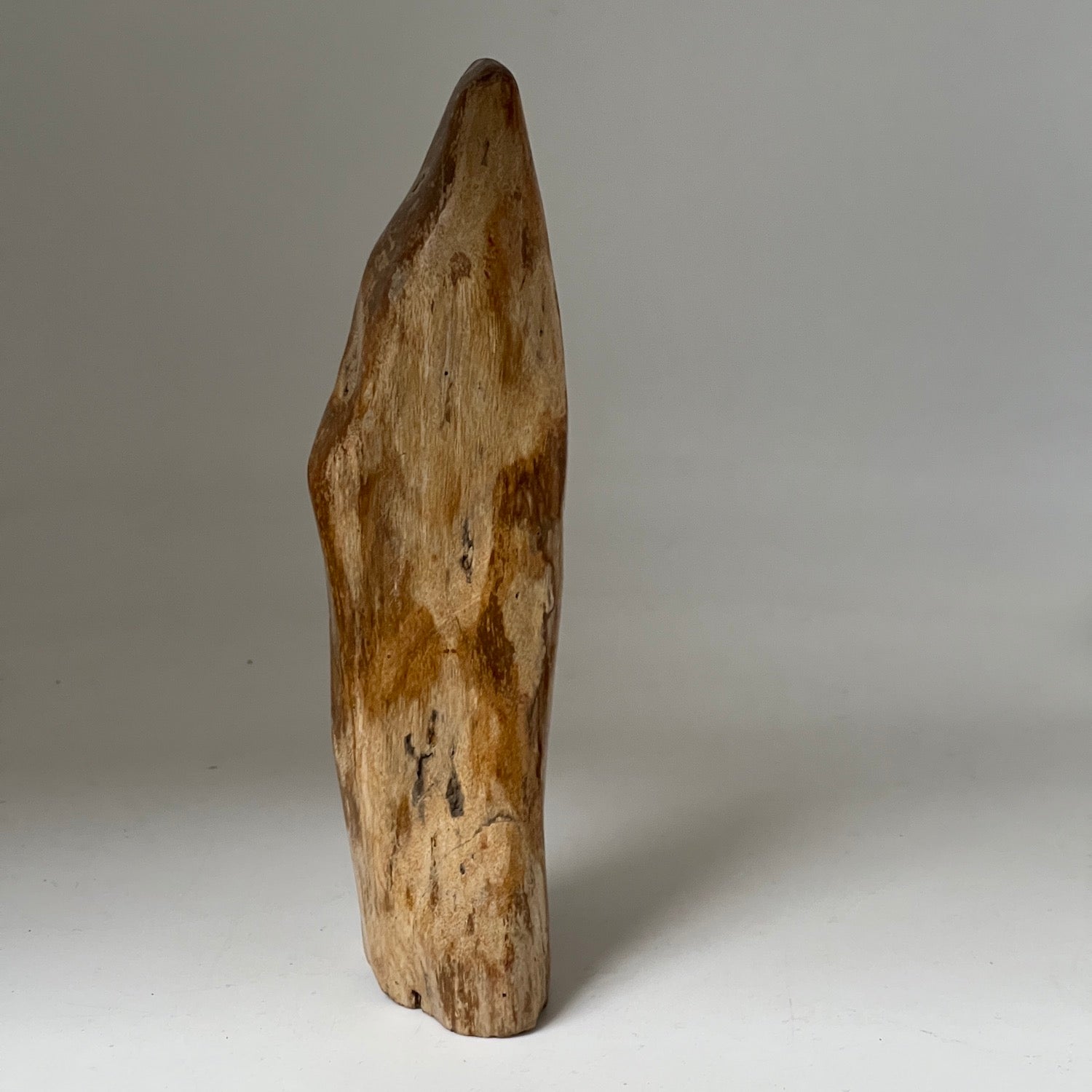 Unique Petrified wood from Java