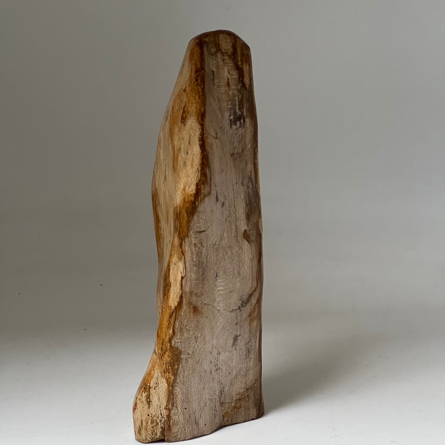 Unique Petrified wood from Java