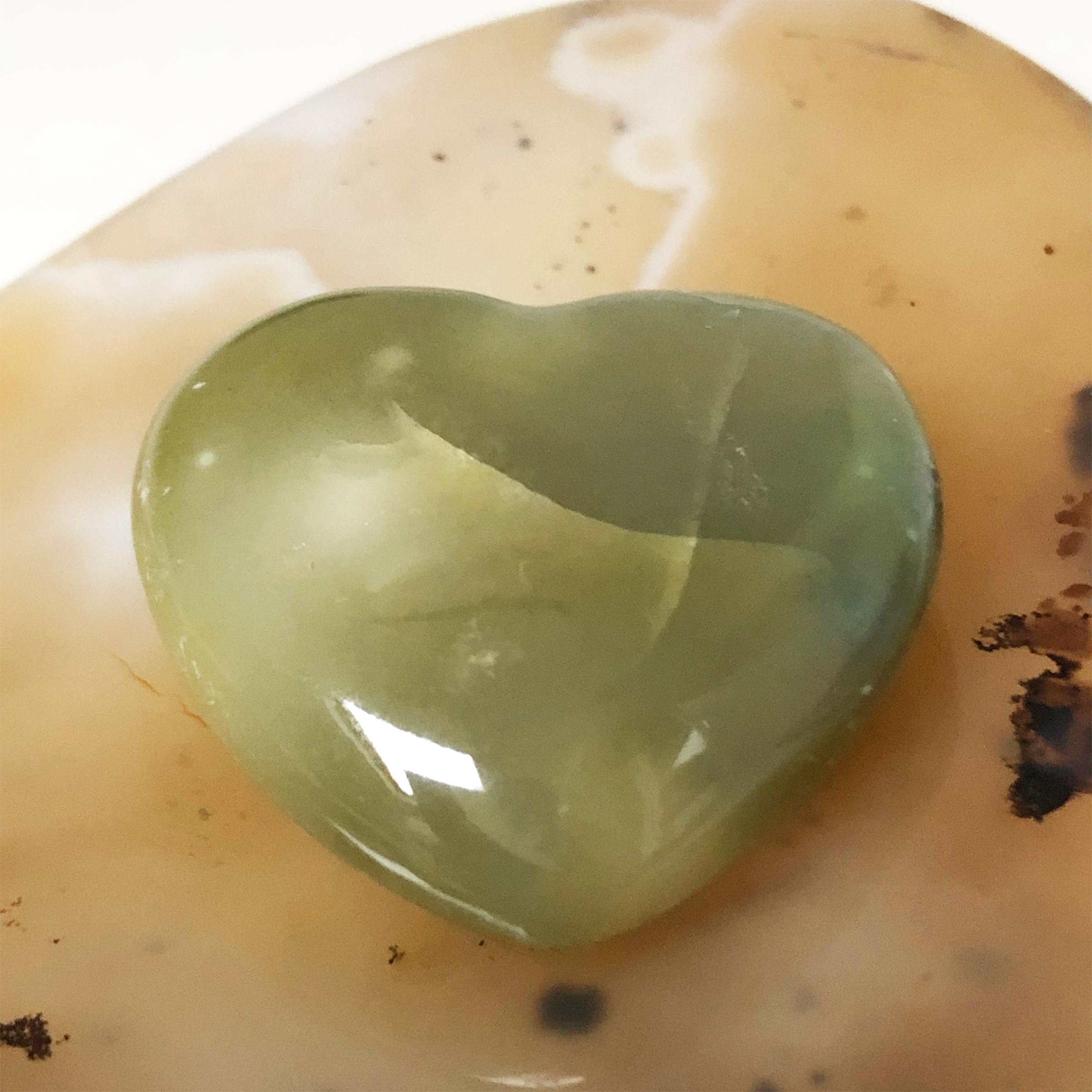 Orbicular Ocean Jasper Heart