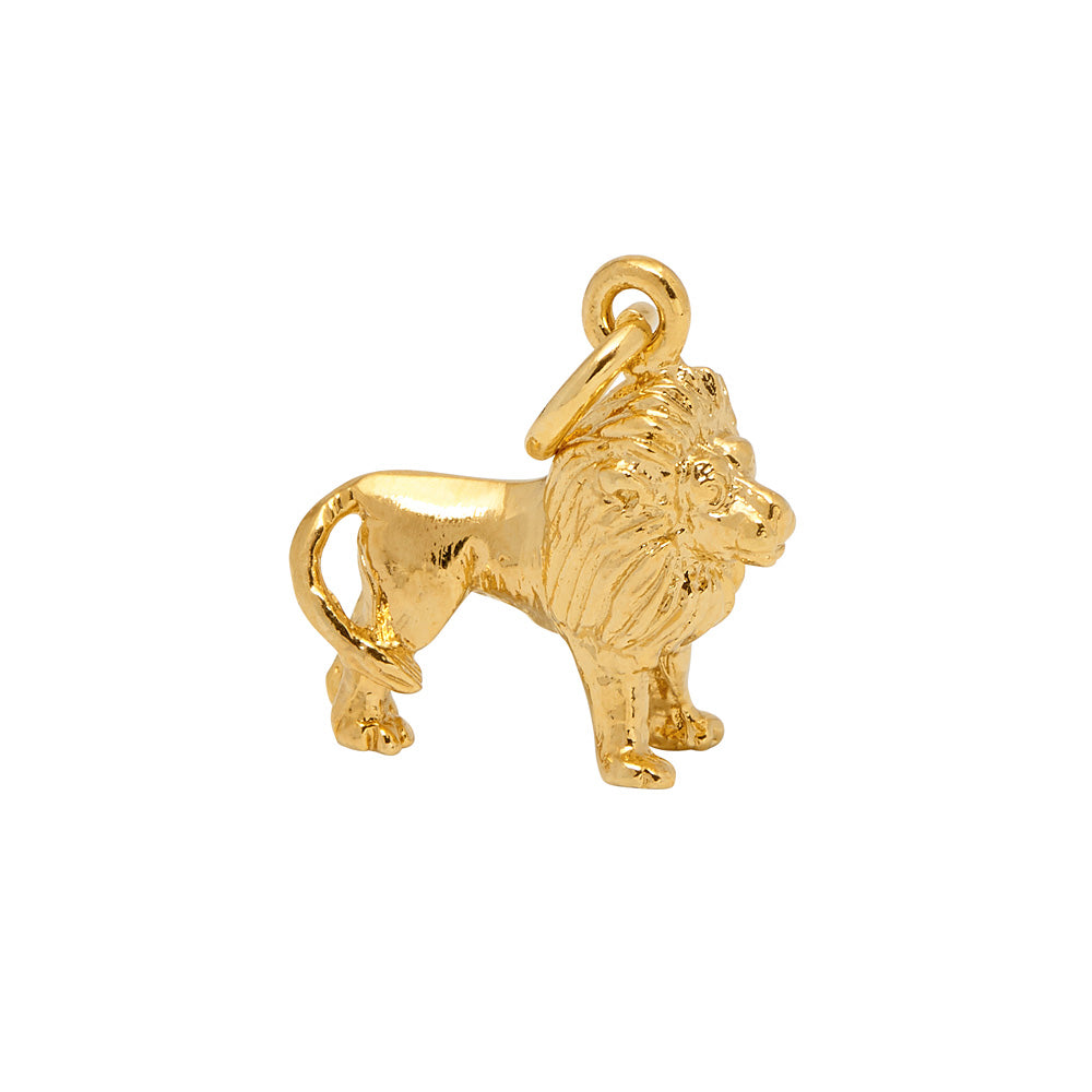 Lion Charm - Mirabelle Jewellery