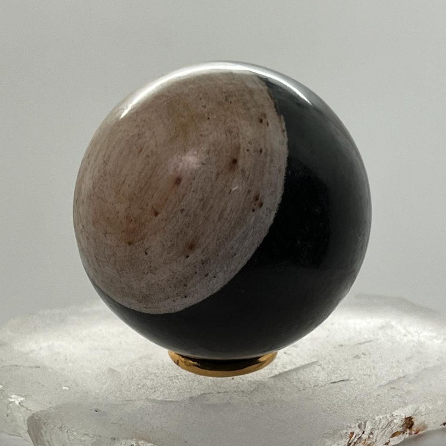 Unique Petrified wood Sphere from Java