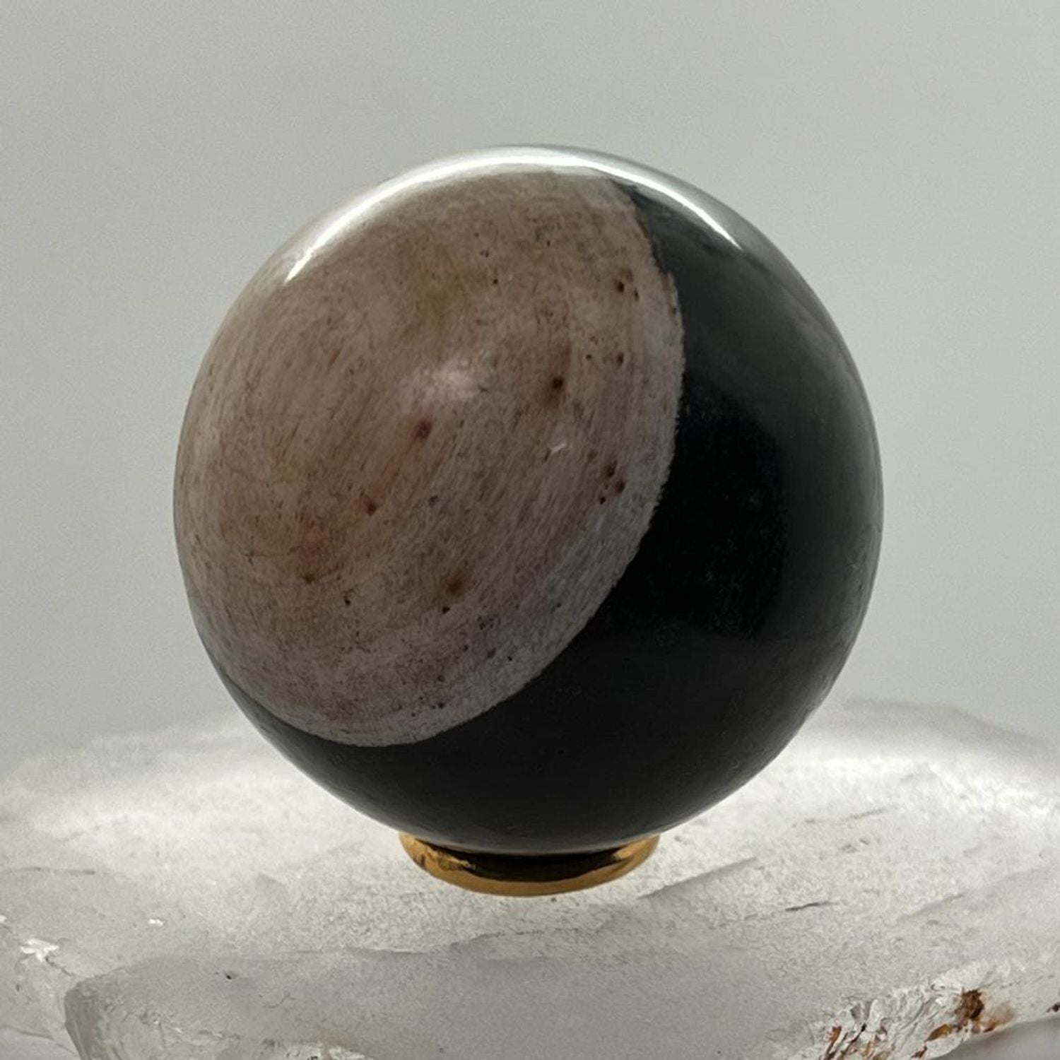 Unique Petrified wood Sphere  from Java