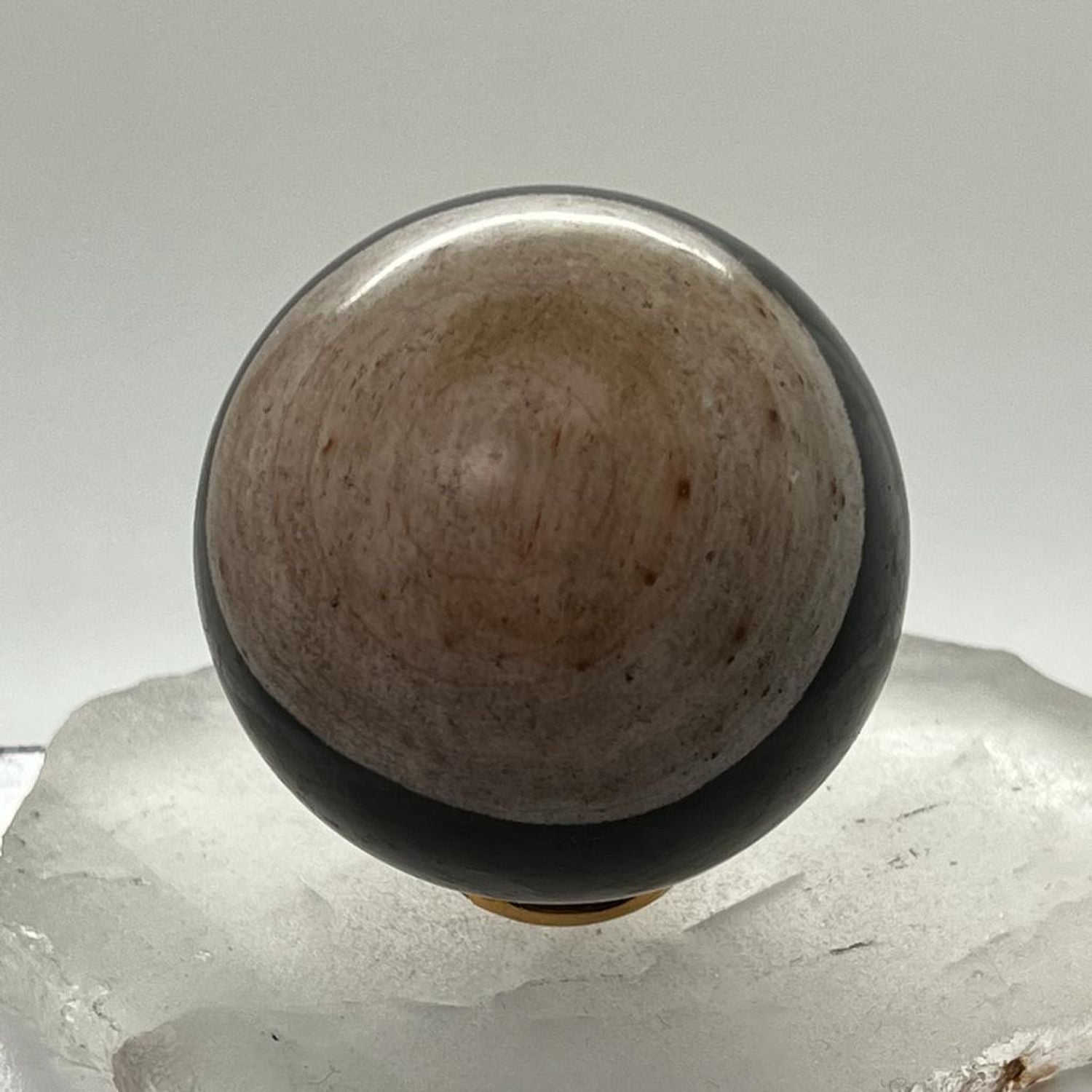 Unique Petrified wood Sphere  from Java