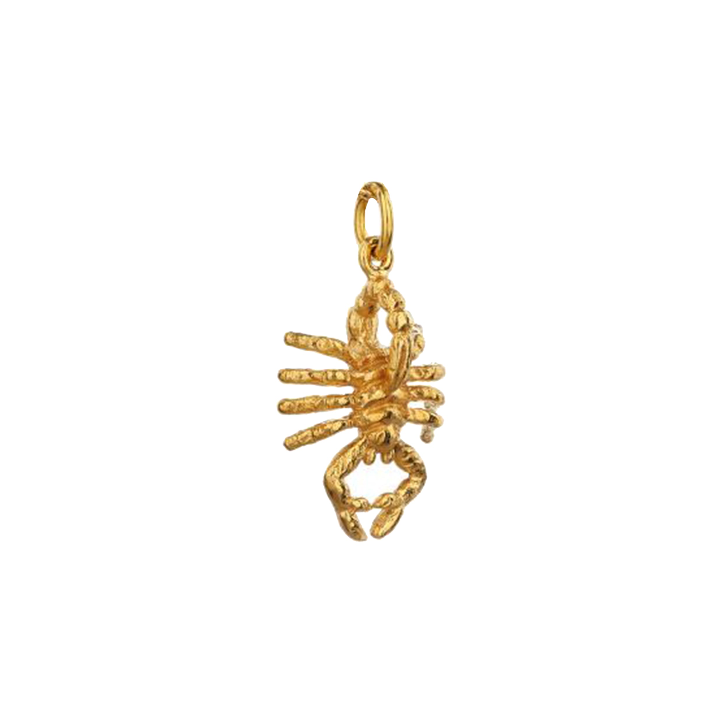 Scorpion Charm - Mirabelle Jewellery