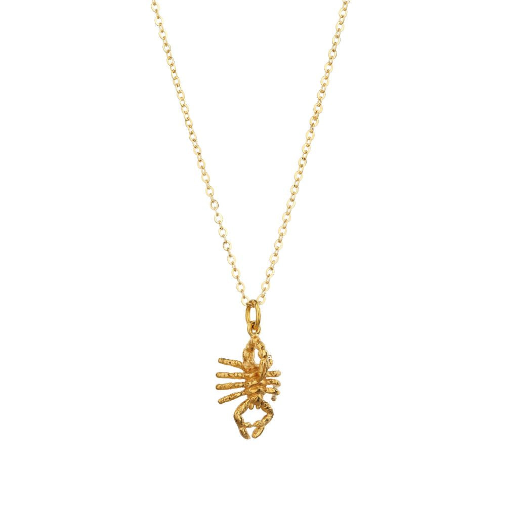 Scorpion Charm - Mirabelle Jewellery