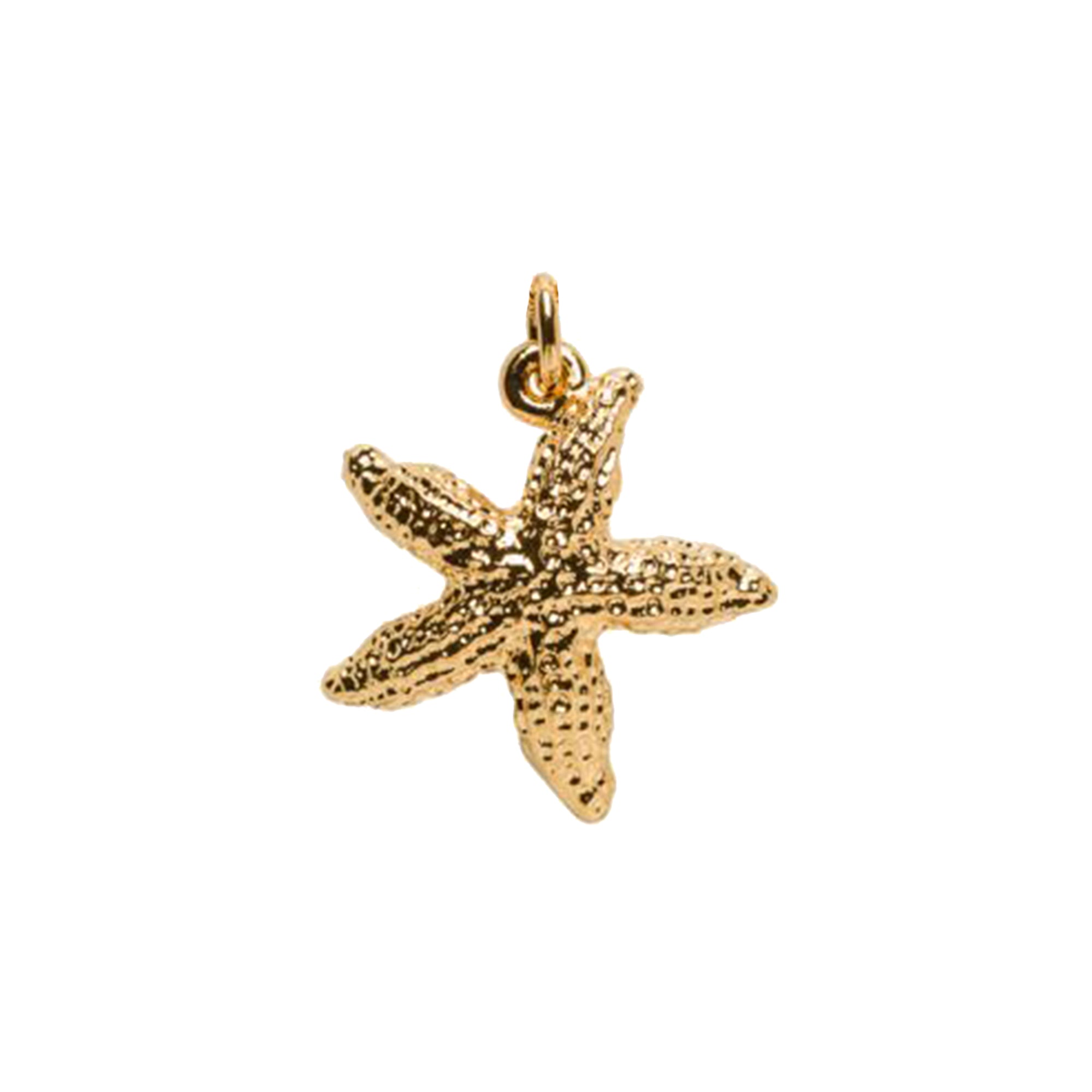 Starfish Charm - Mirabelle Jewellery